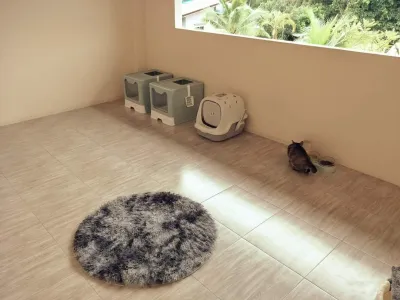 DAnimalHos