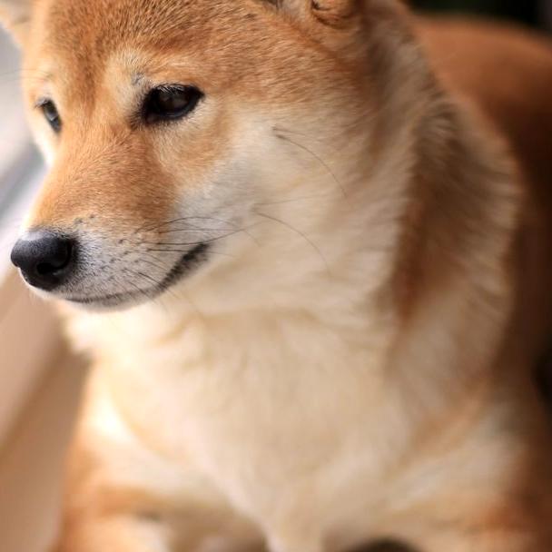 Napatsorn