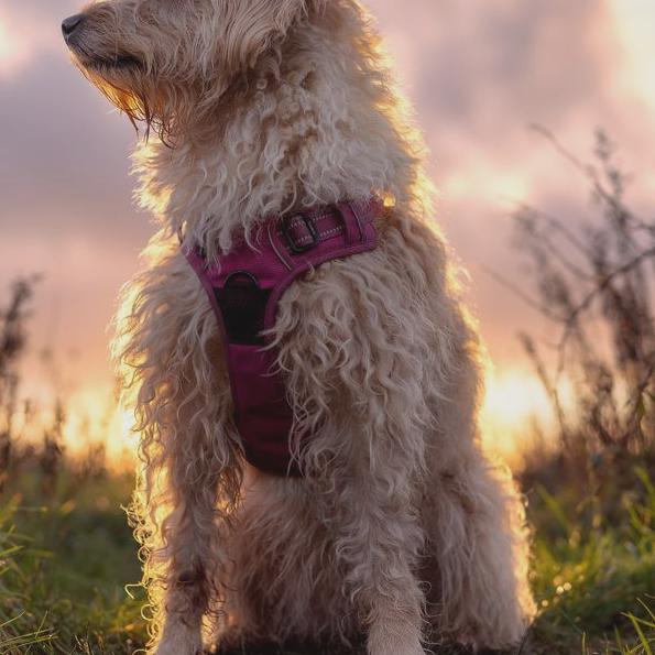 Chumphon
