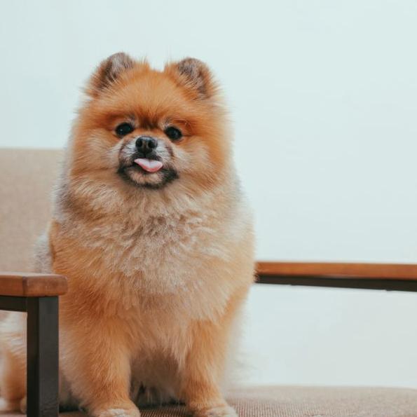 Sam