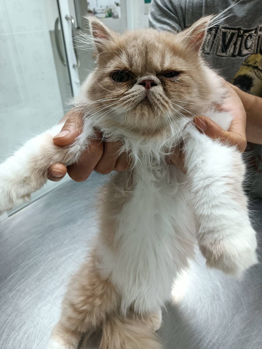 Dear Friend Animal Hospital