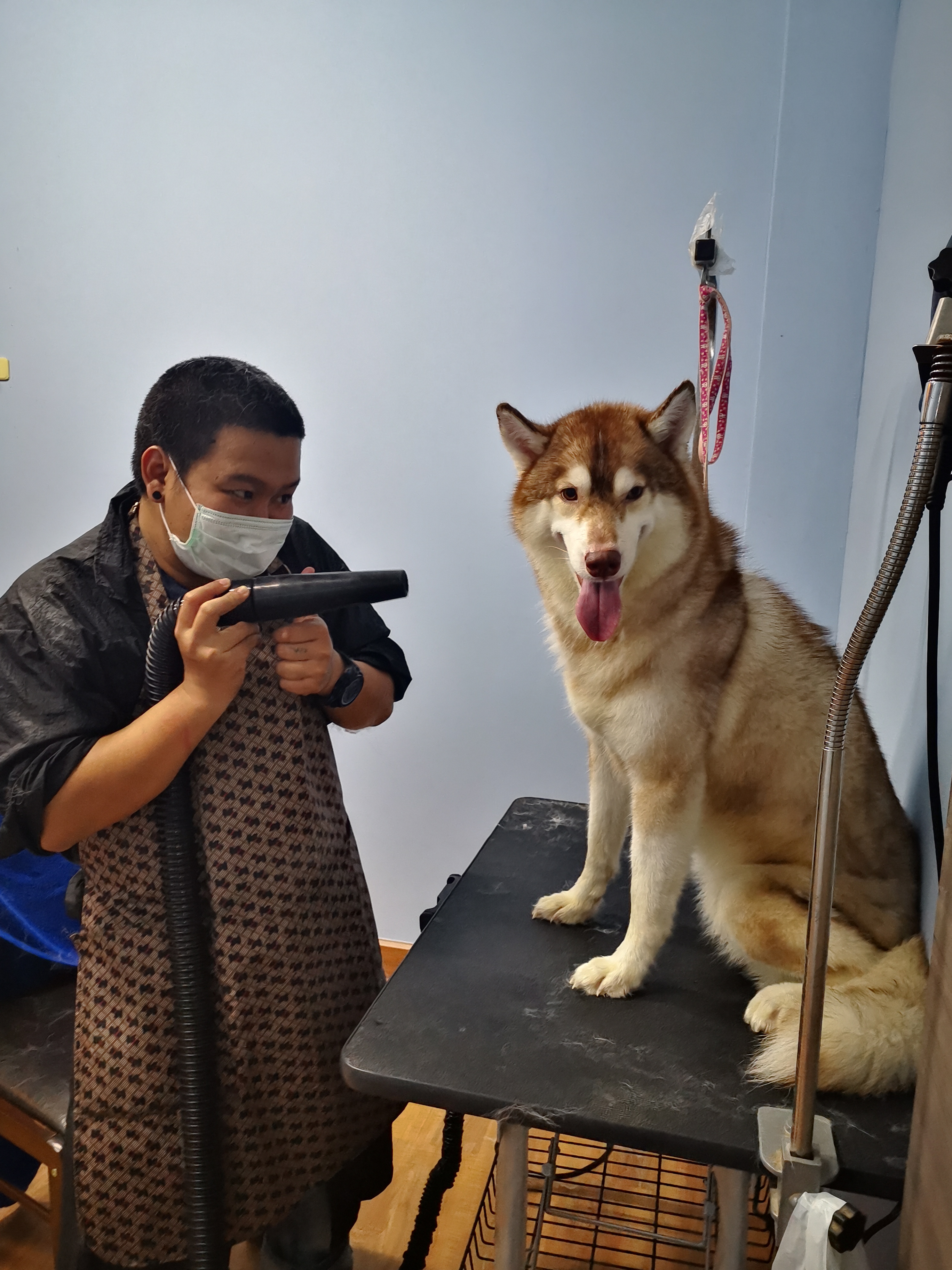 Kanchanapisek Animal Hospital
