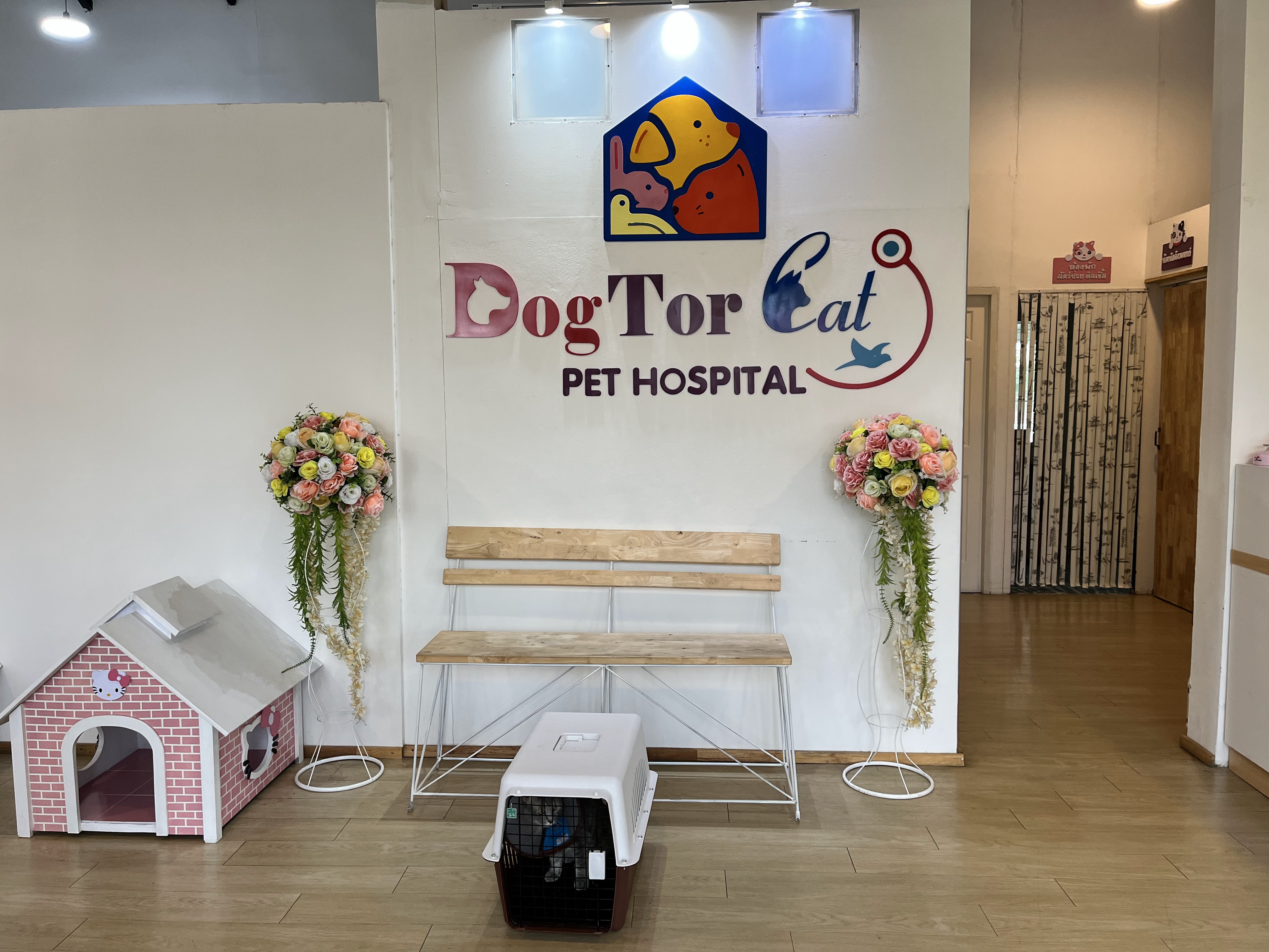 Doctor Cat Animal Hospital