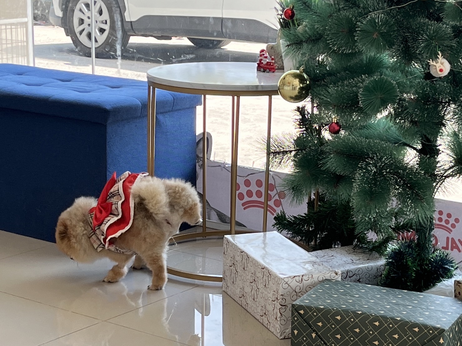 Sai Sam Animal Hospital