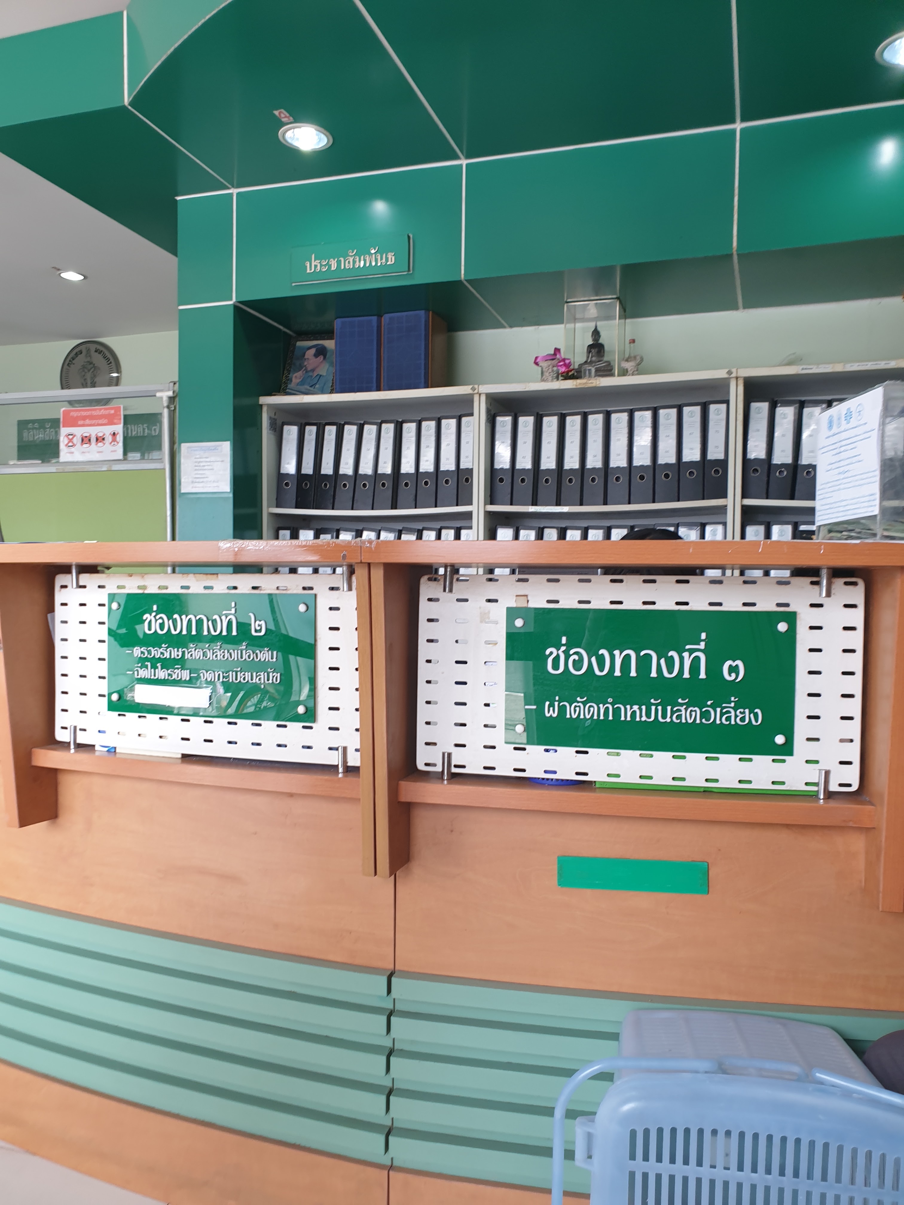 Veterinary Clinic, Bangkok 7, Bangkok Noi