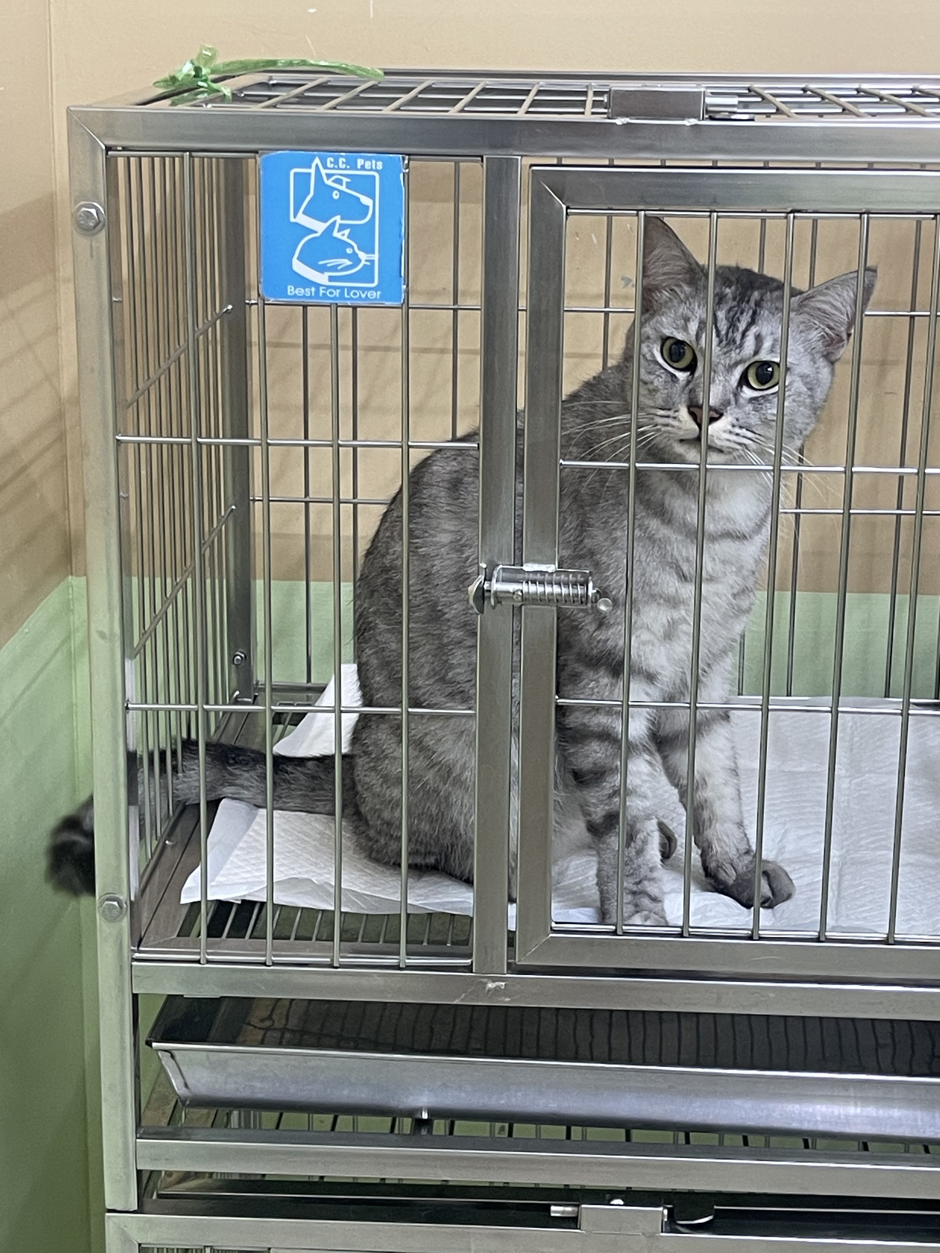 Romklao Animal Hospital