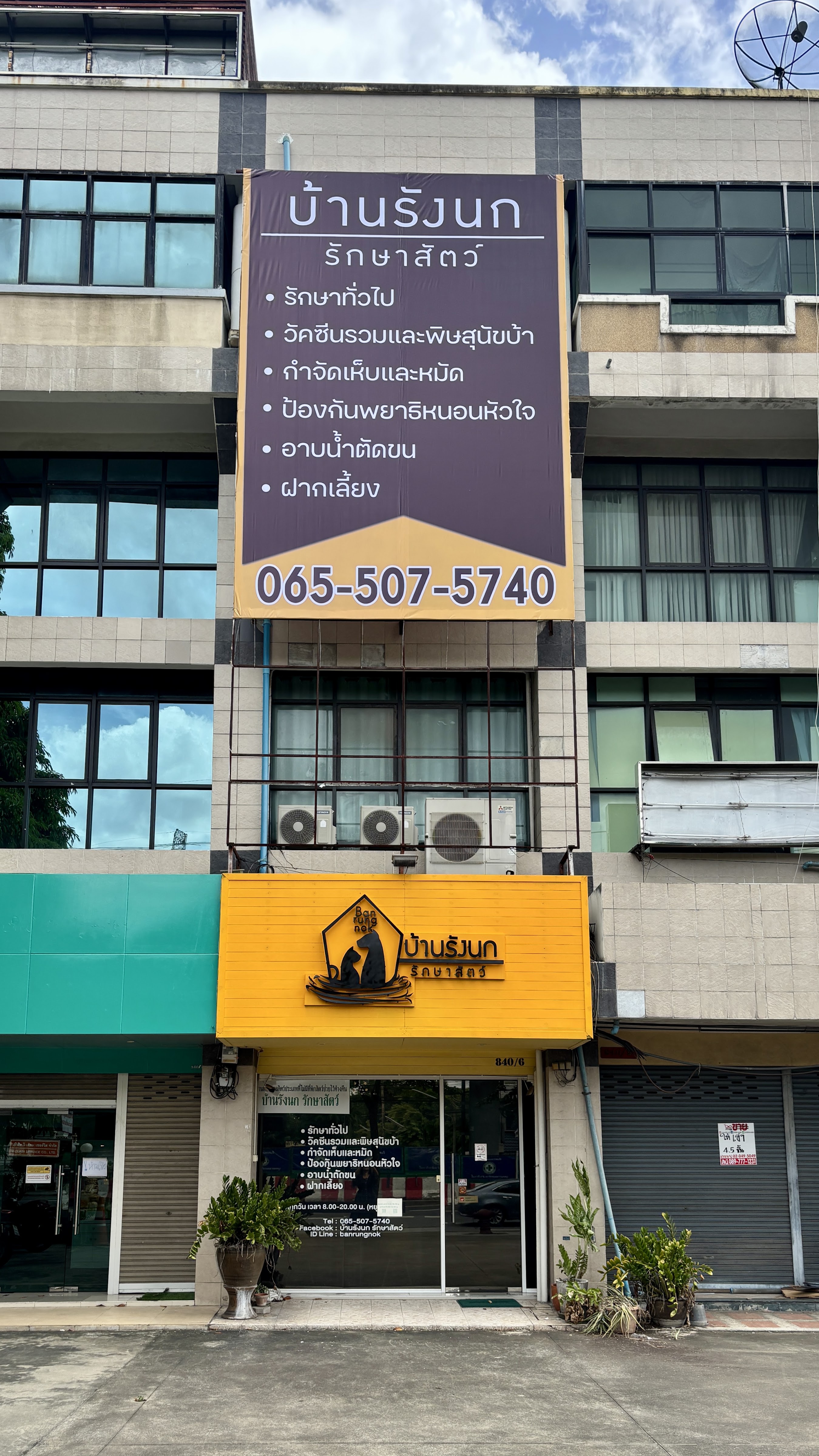 Bird's Nest House Animal Treatment