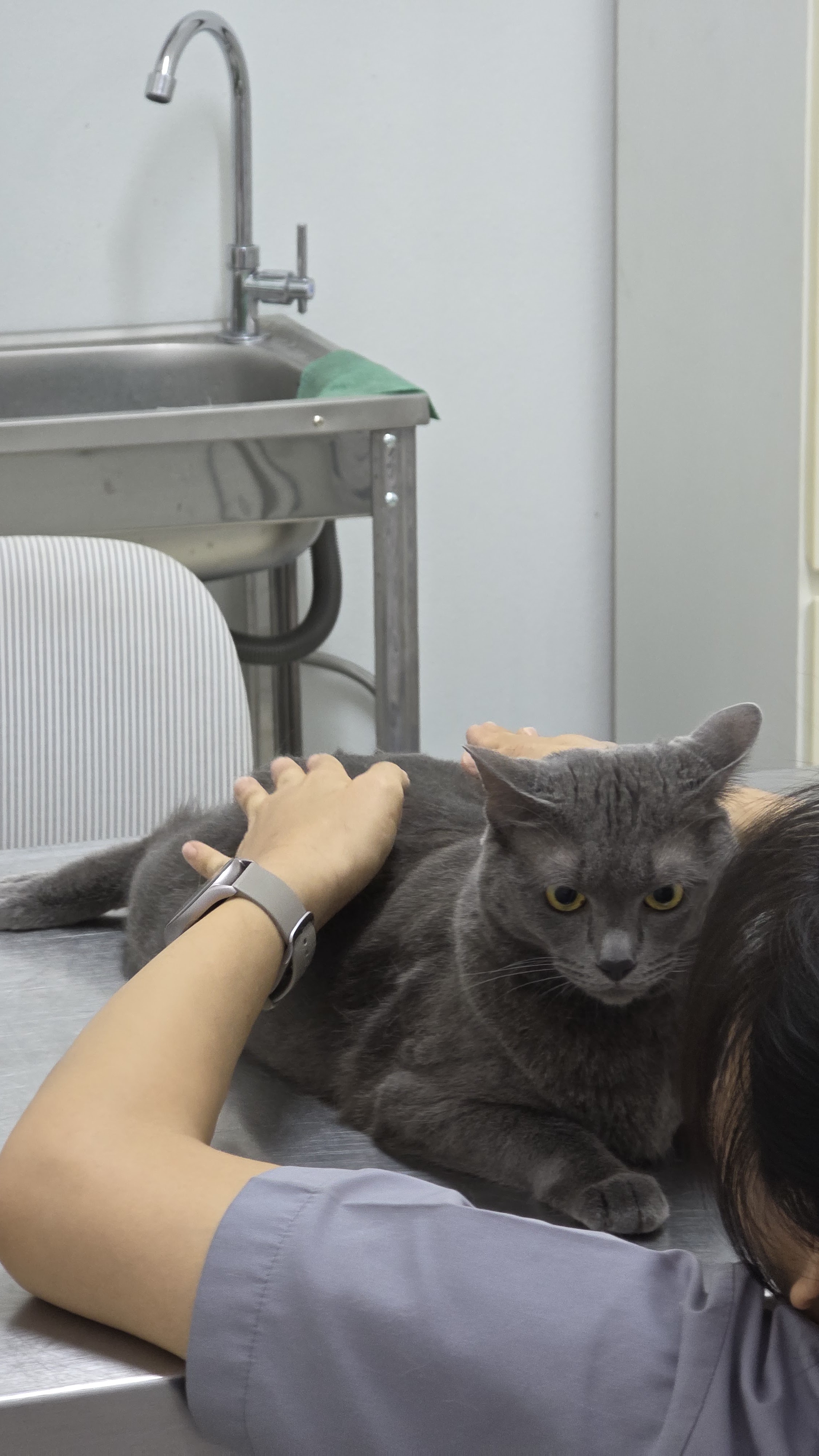 Nantiya Animal treatment