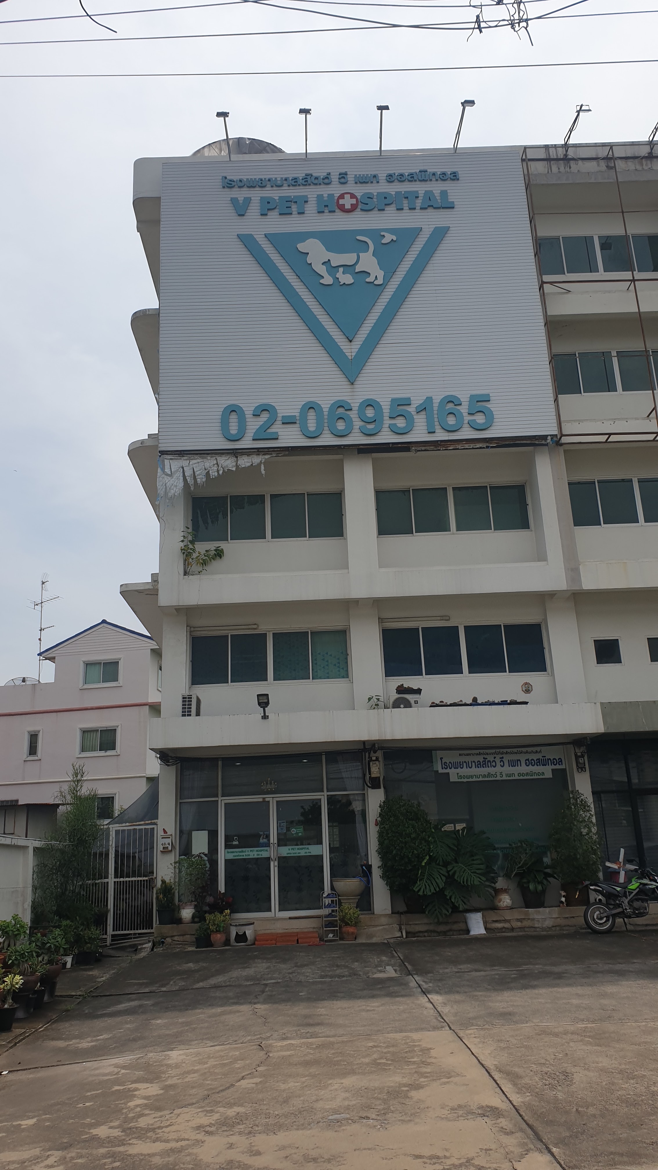 V Pet Hospital