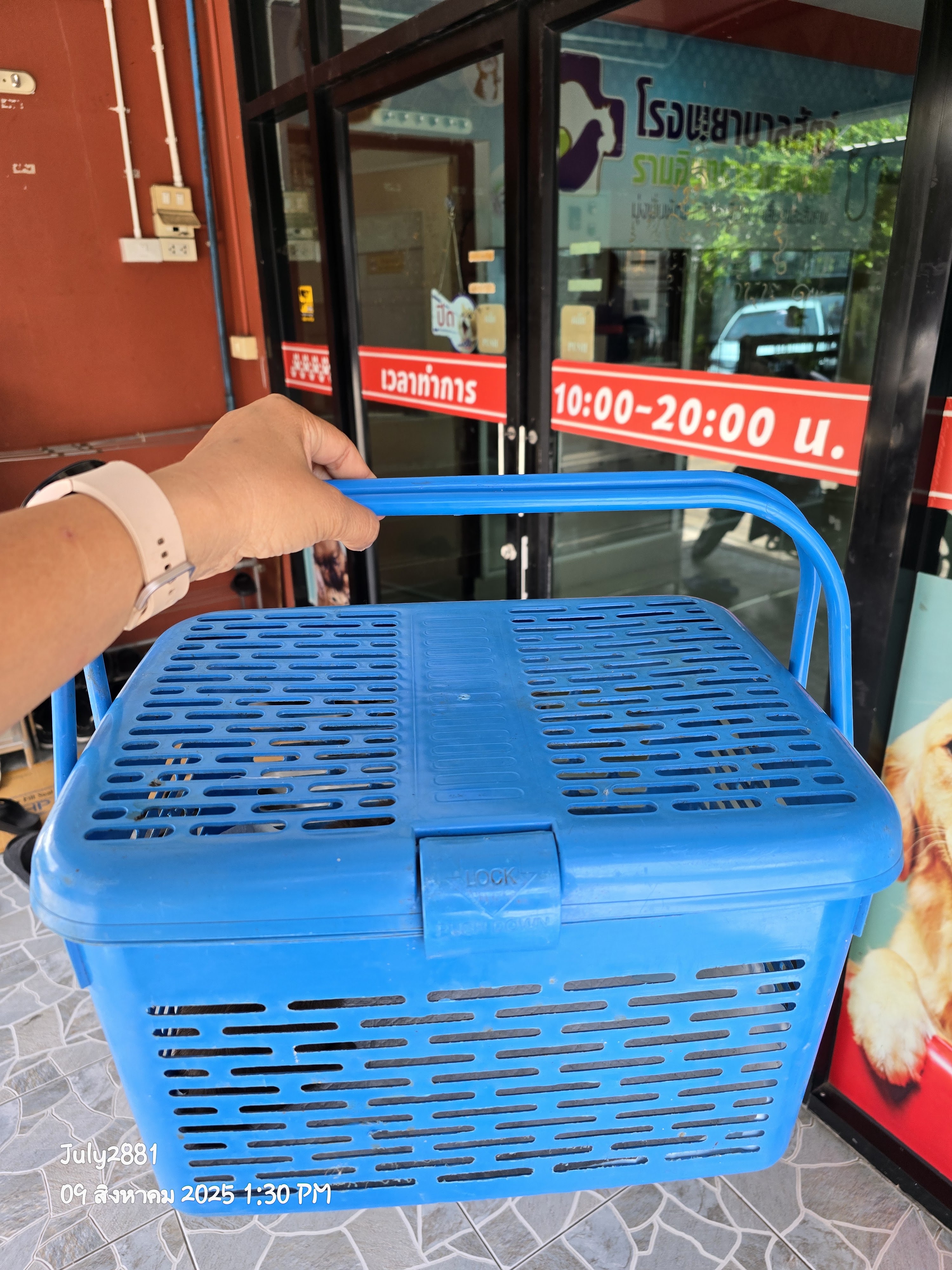 Ramintra Animal Hospital