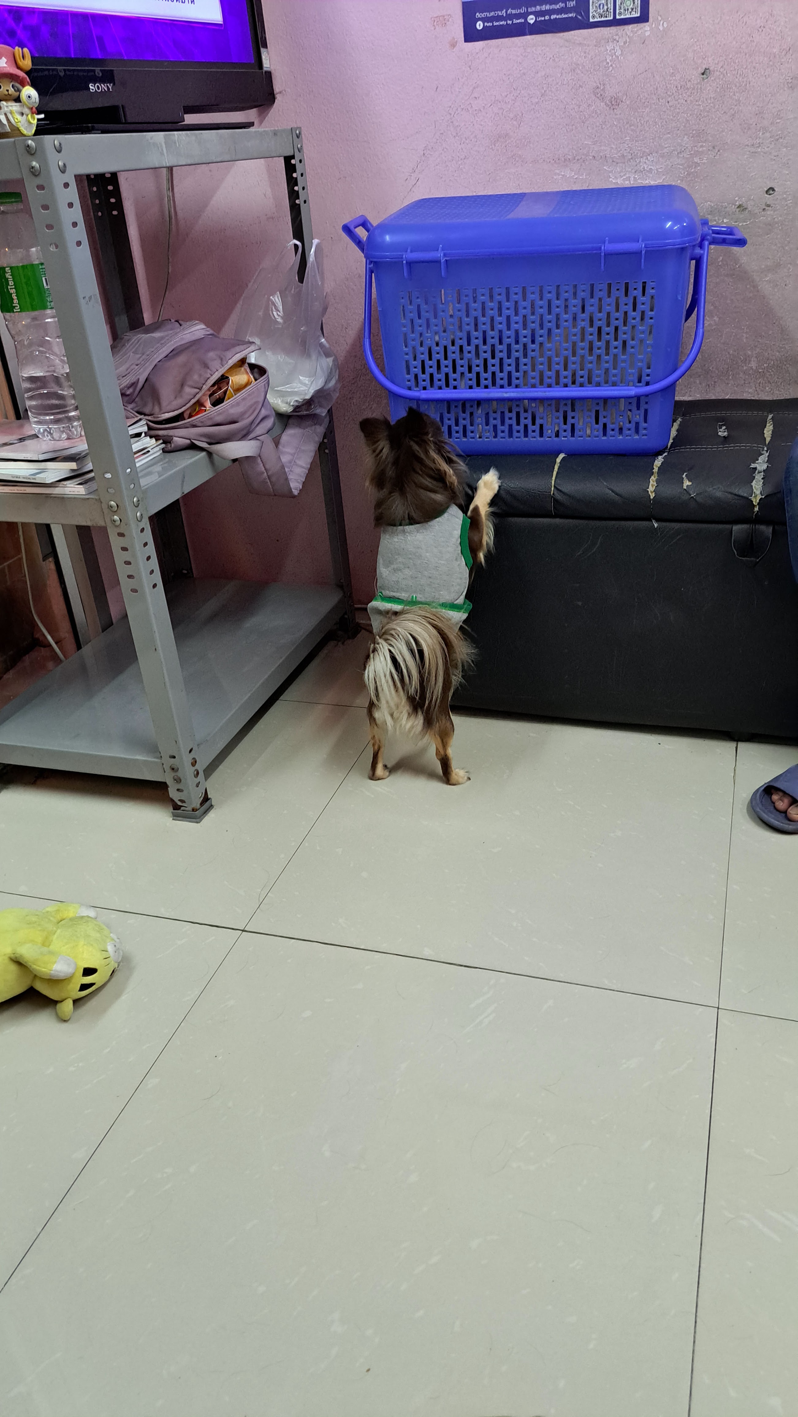 Veterinary Interior