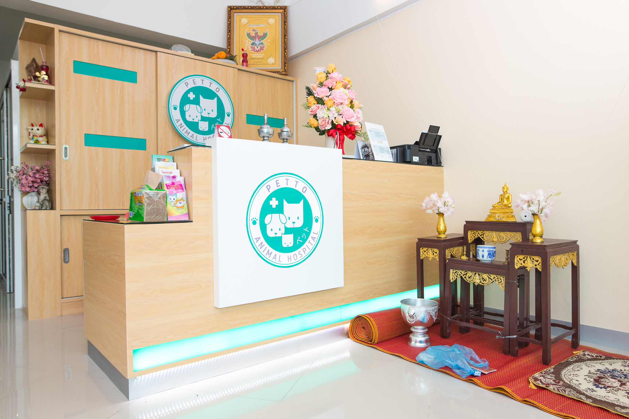 Petto Animal Hospital