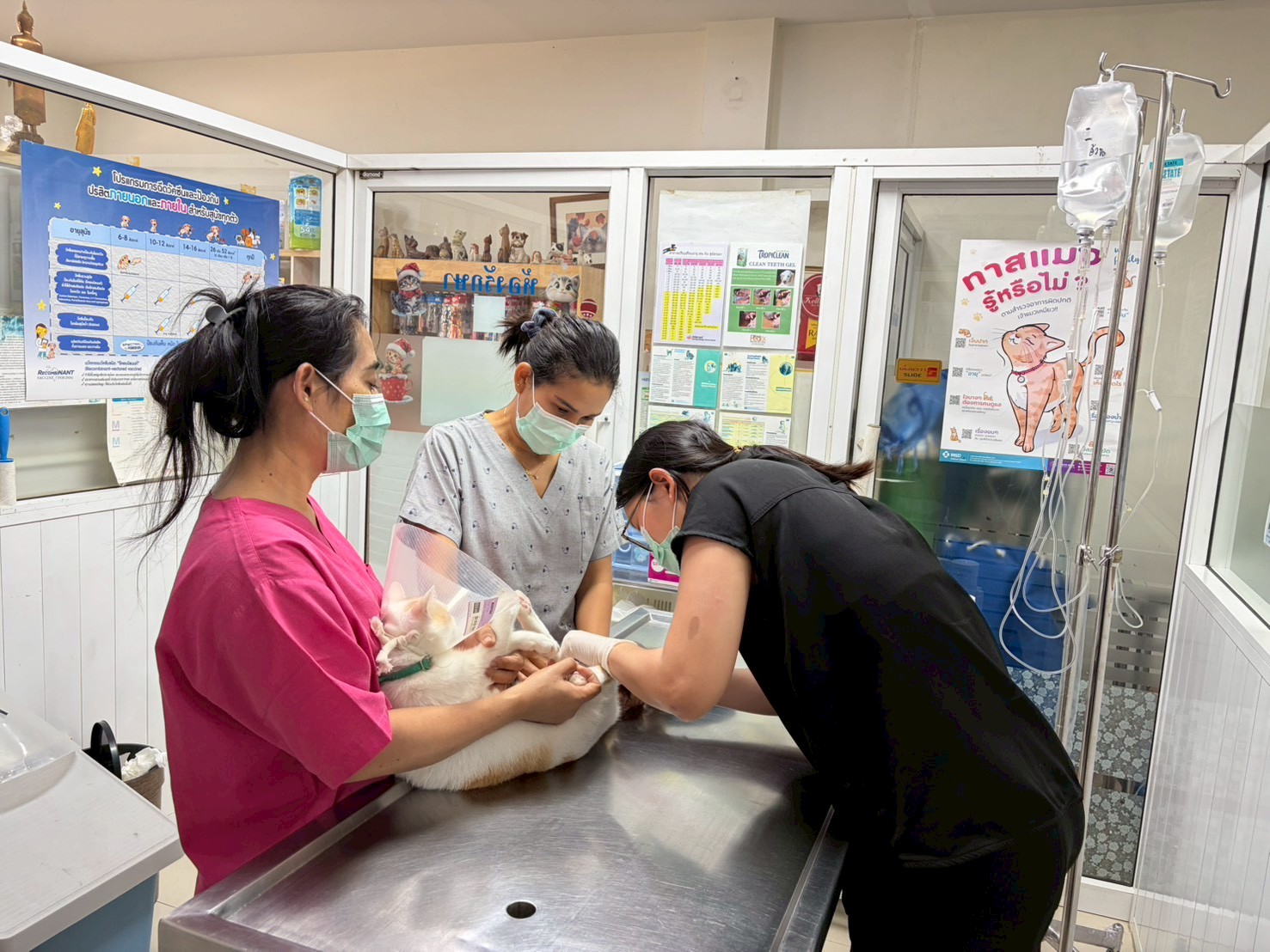 Apapirom Animal Hospital