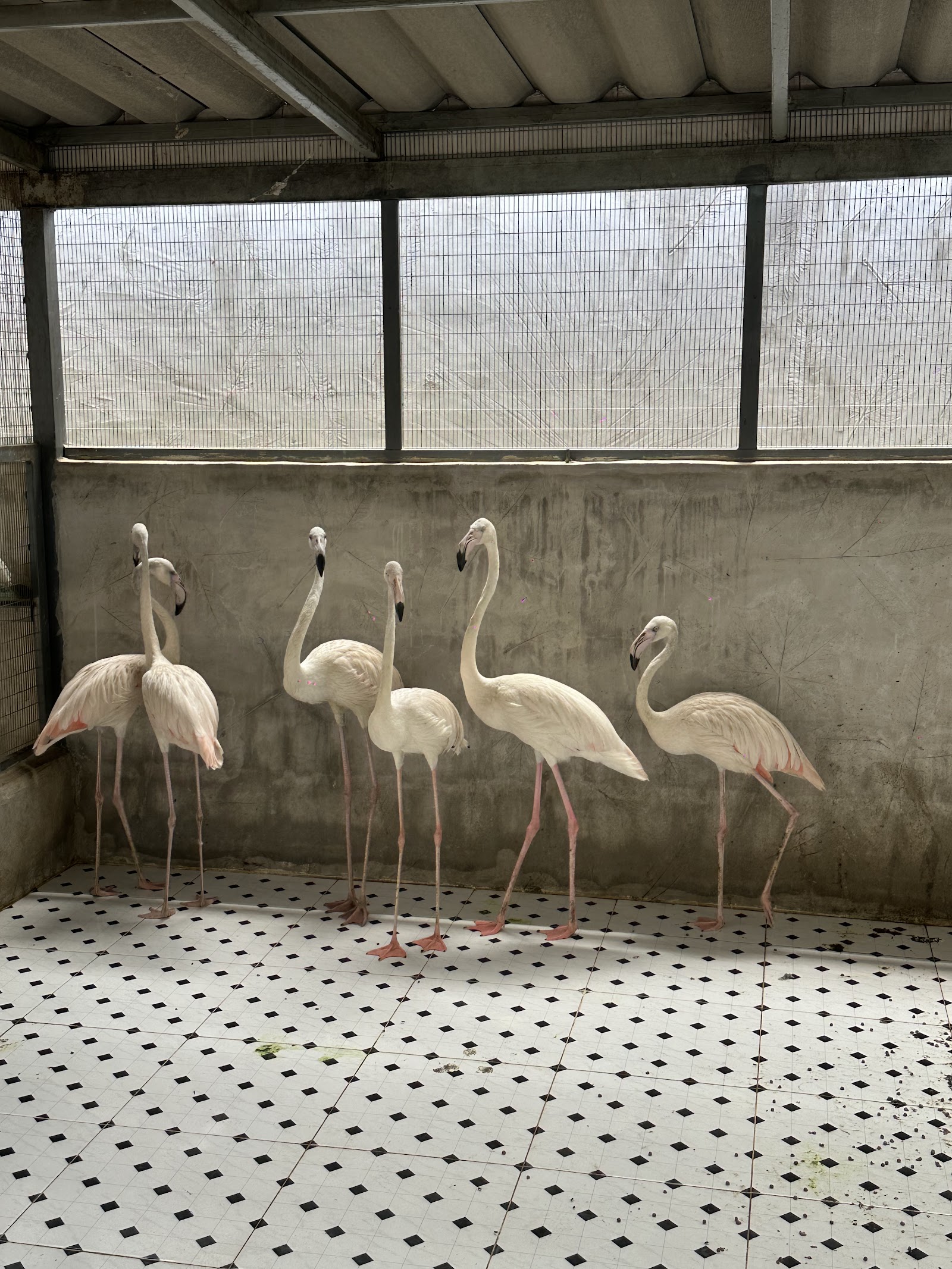 108 Breeding Farm