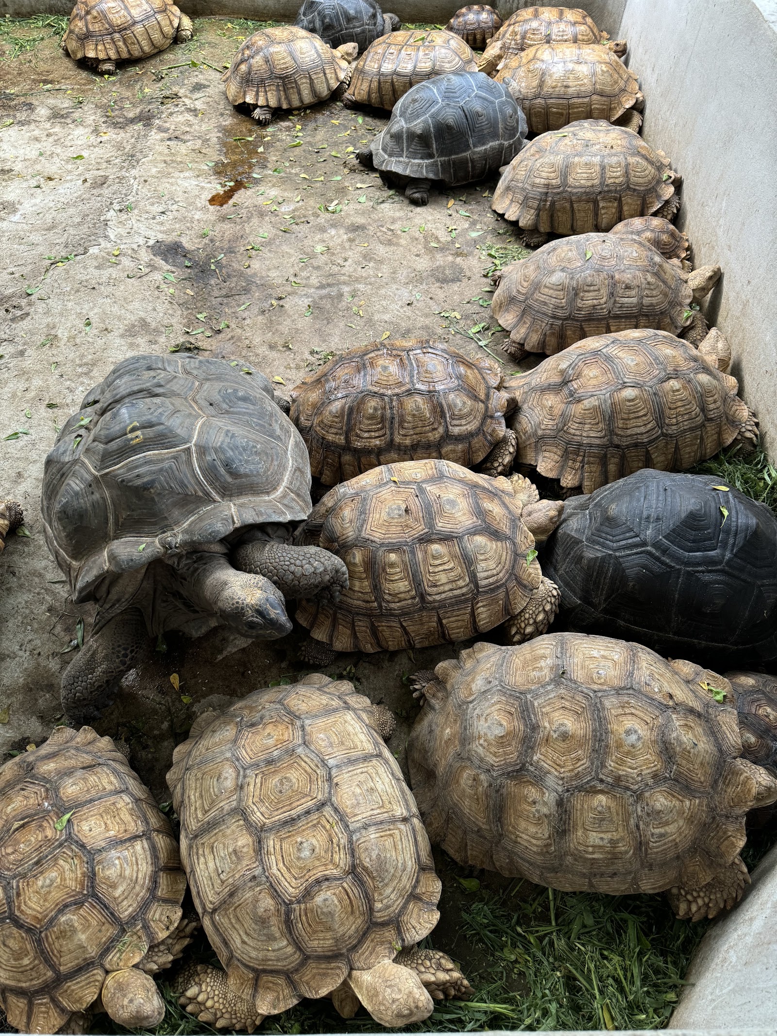 108 Breeding Farm