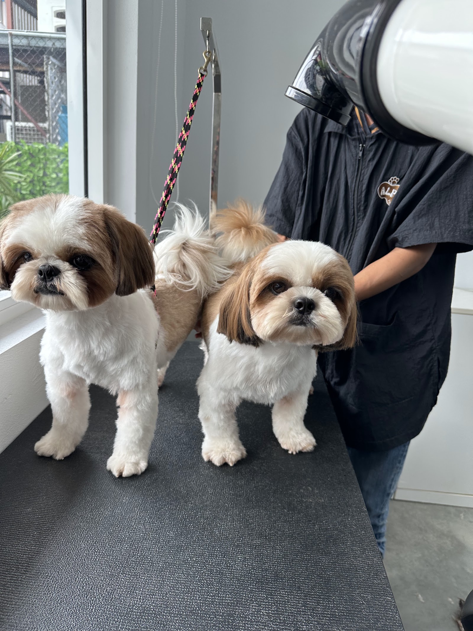 Alpha Pet Care