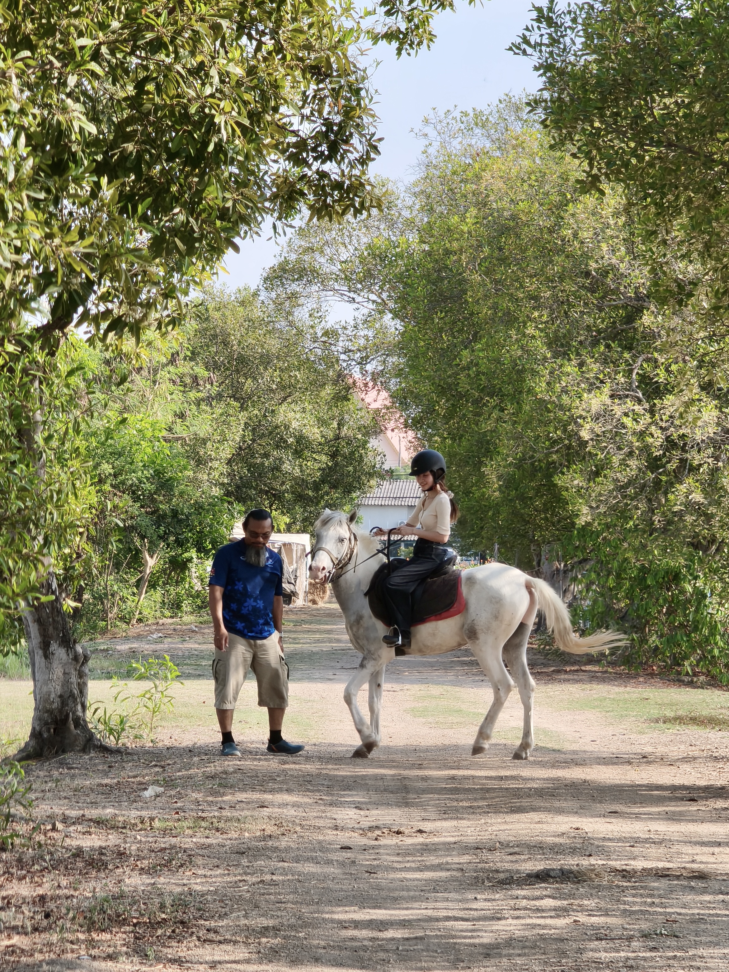 Amin Horse Riding Course