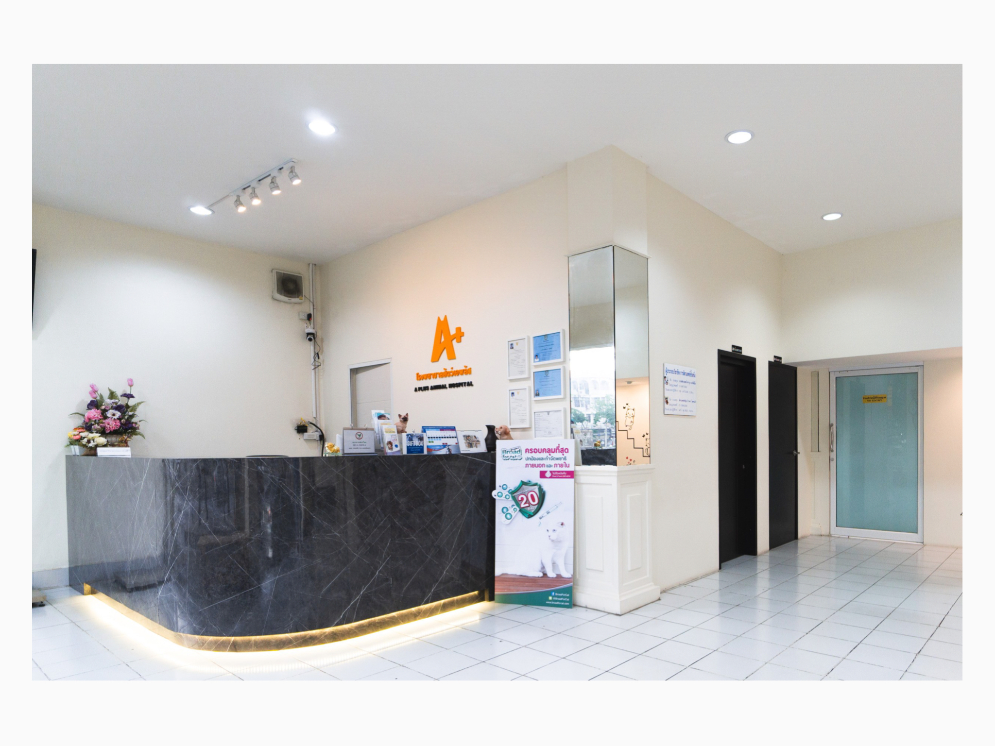 aplus animal hospital