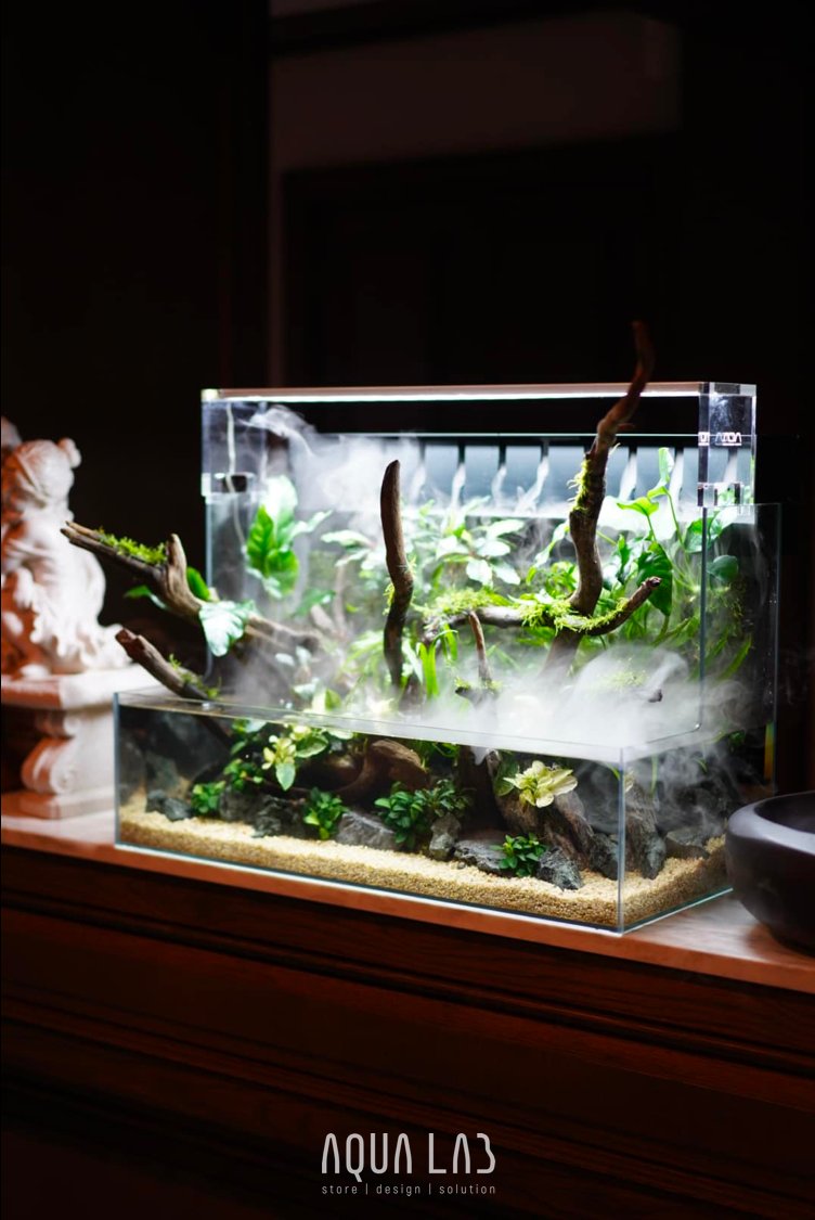 AQUA LAB Store + Design & Solution
