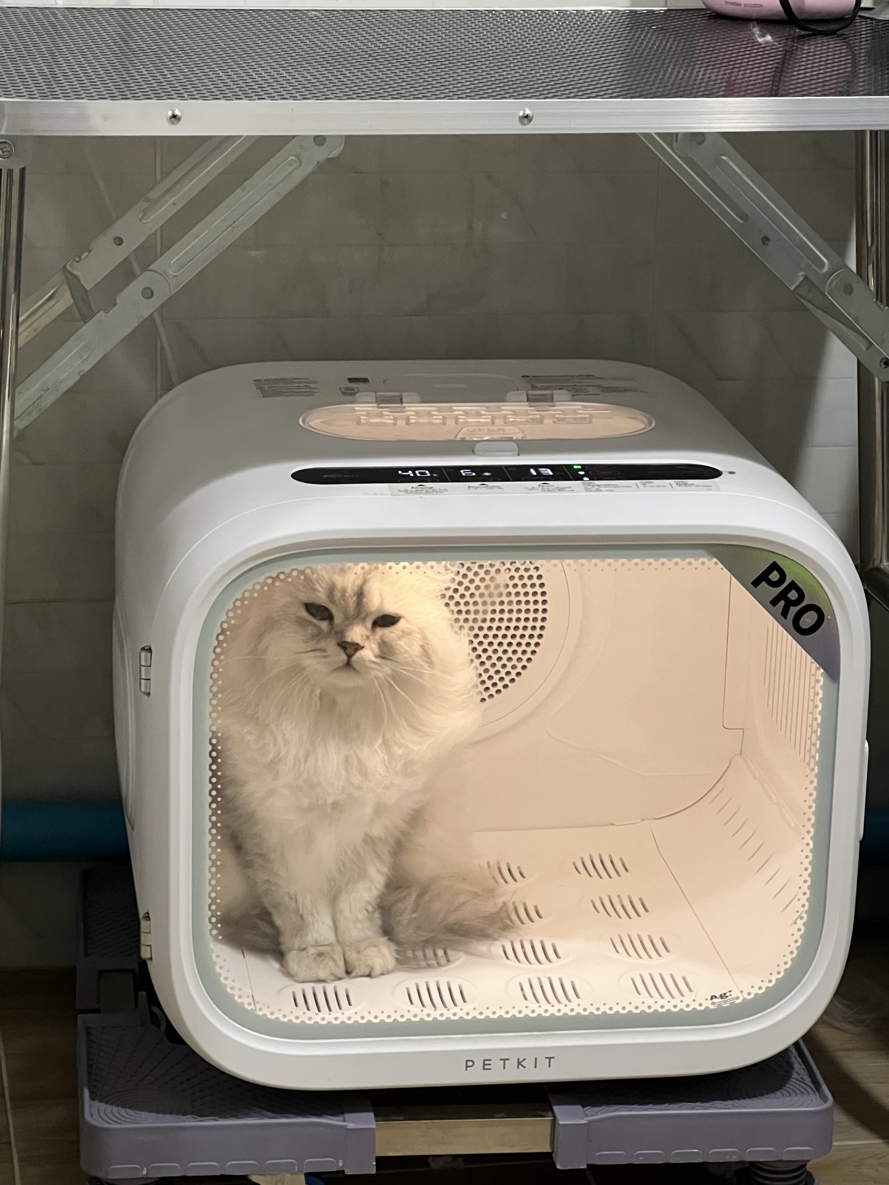 Arya Pet Wellness Center