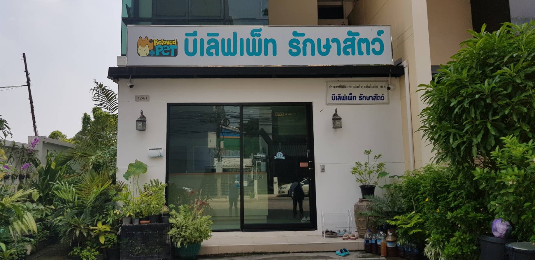 belovedpet clinic