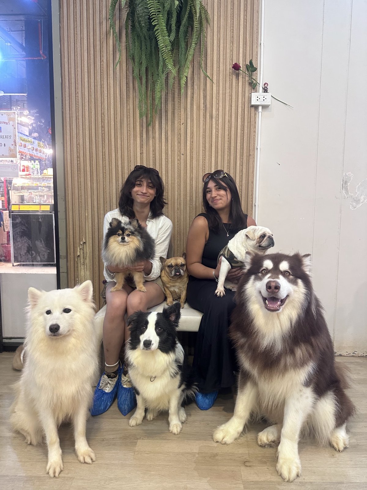 Big Dog Cafe