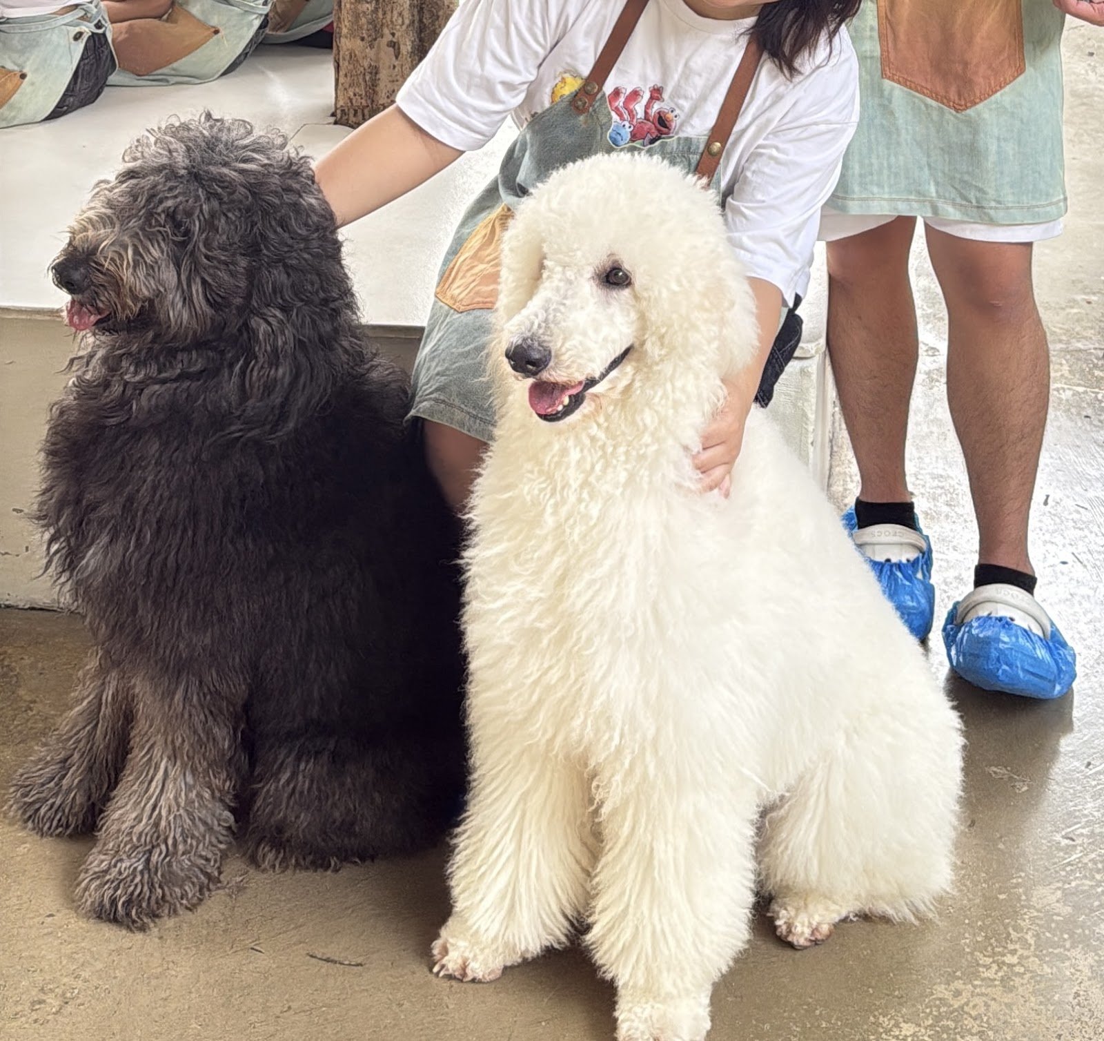Big Dog Cafe