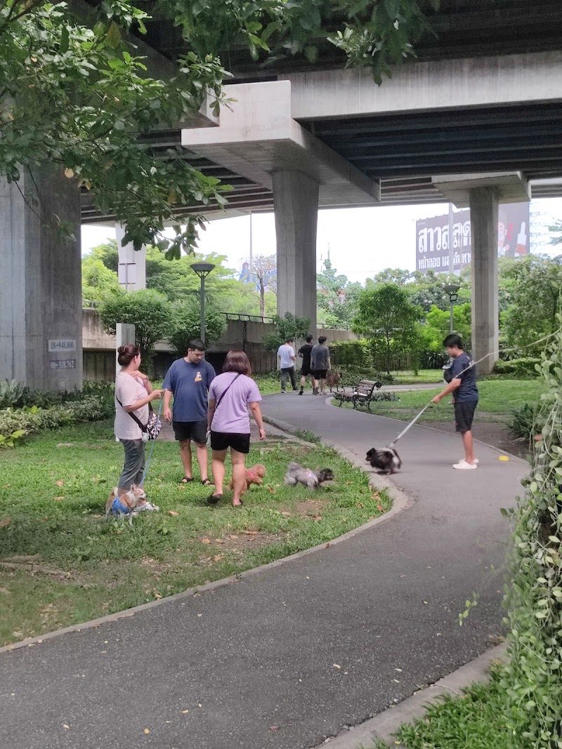 BMA Dog Park - Watcharapol