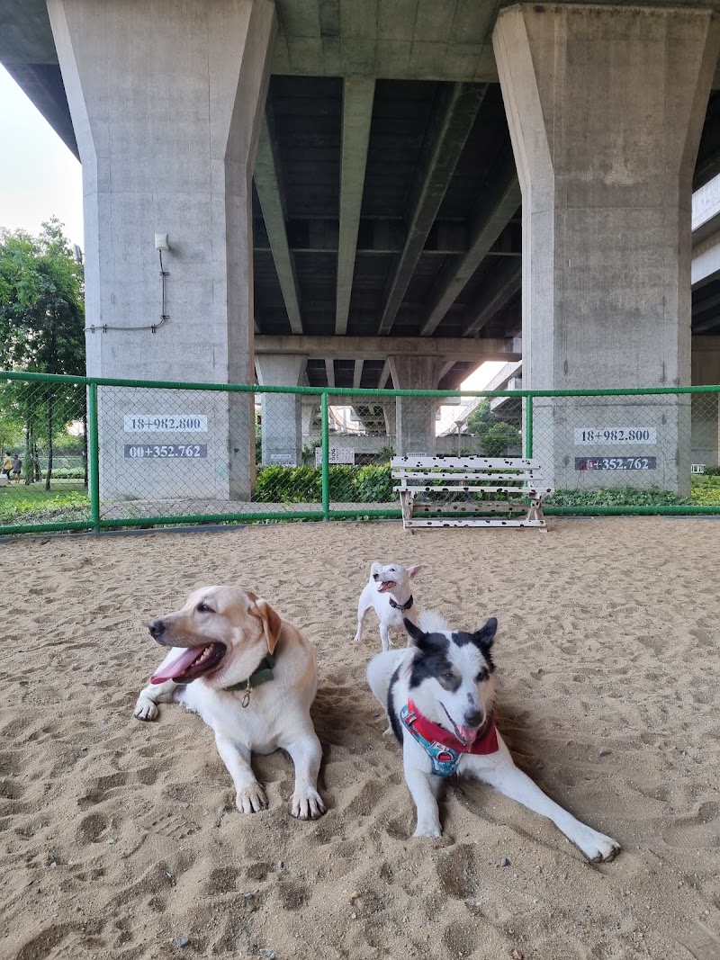 BMA Dog Park - Watcharapol