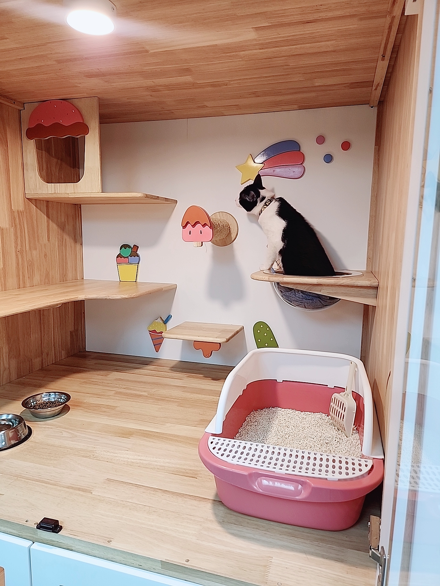 Catnap Cat Hotel