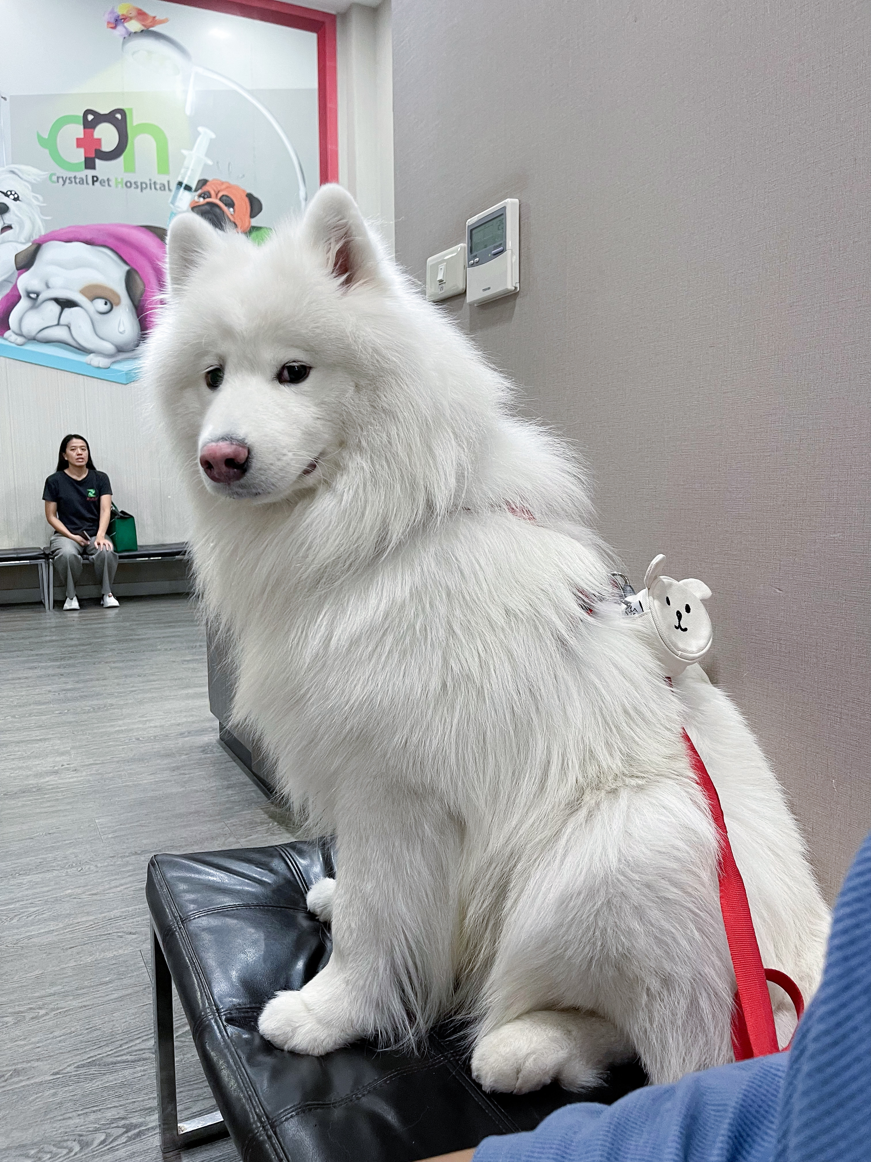 Crystal Pet Hospital Gen.2