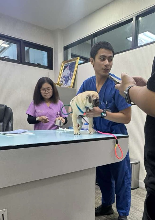 Crystal Pet Hospital