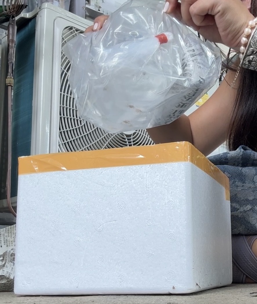 Cube Aquarium