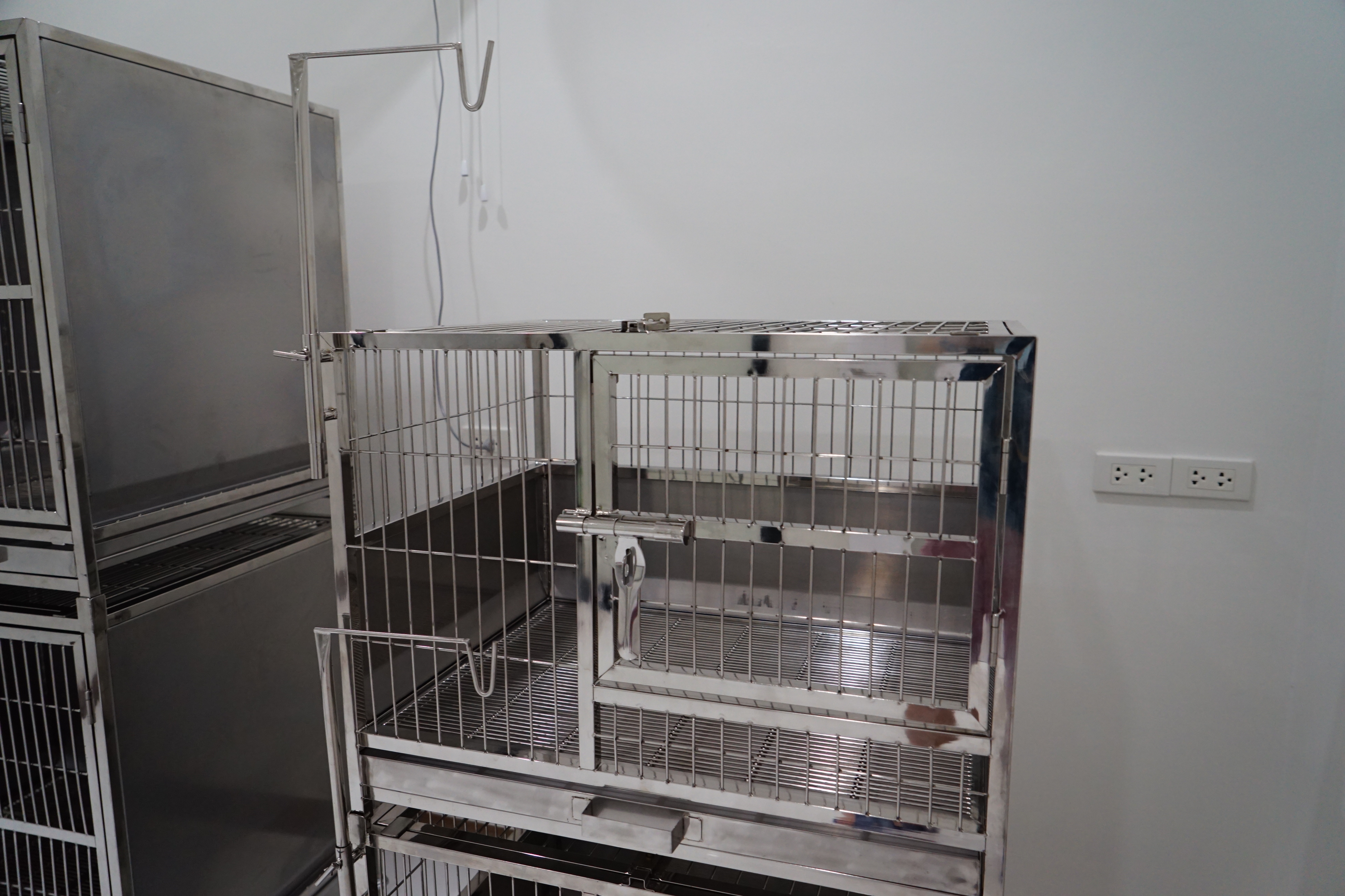 Daddy Pet Clinic