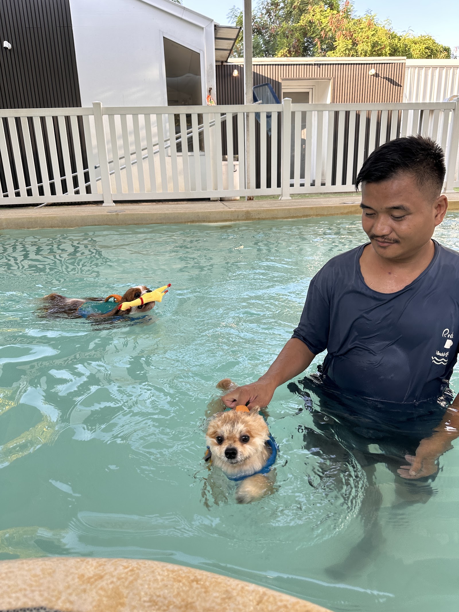 DOG PARADISE