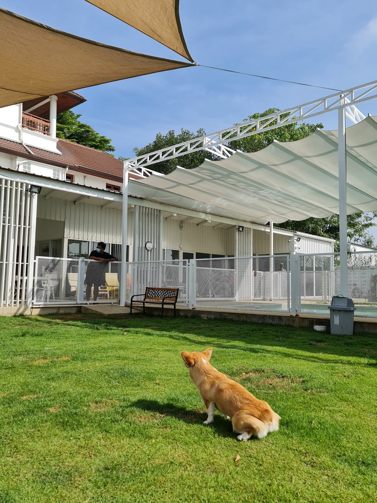 DOG PARADISE