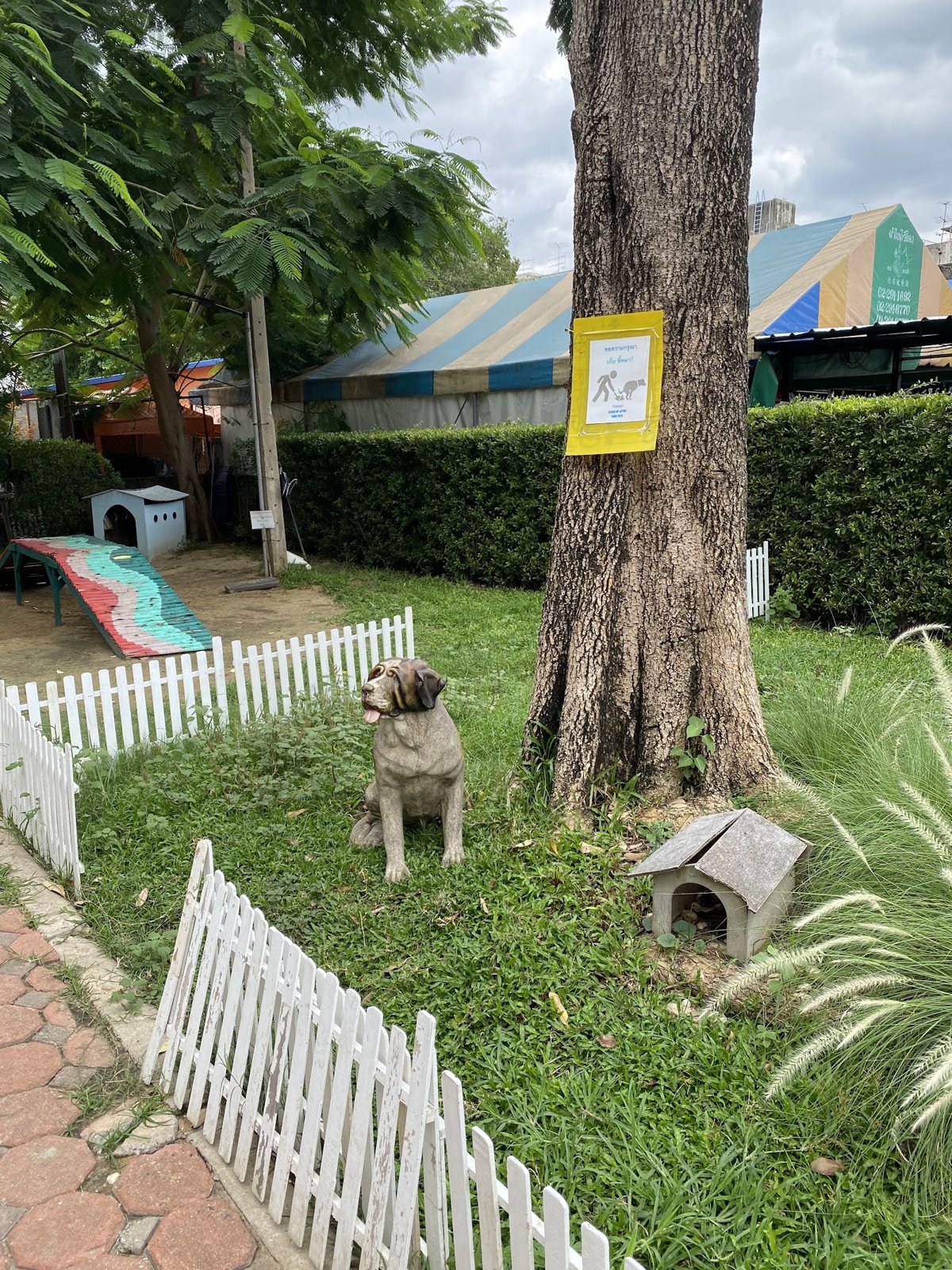 Dog Park @ Chan Road