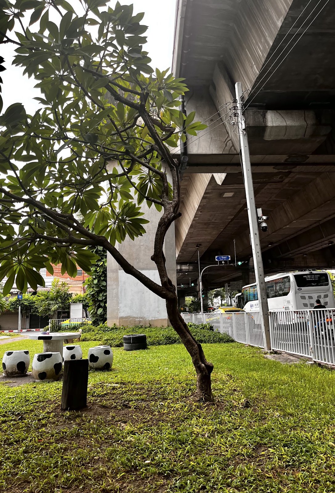 Dog Park @ Chan Road