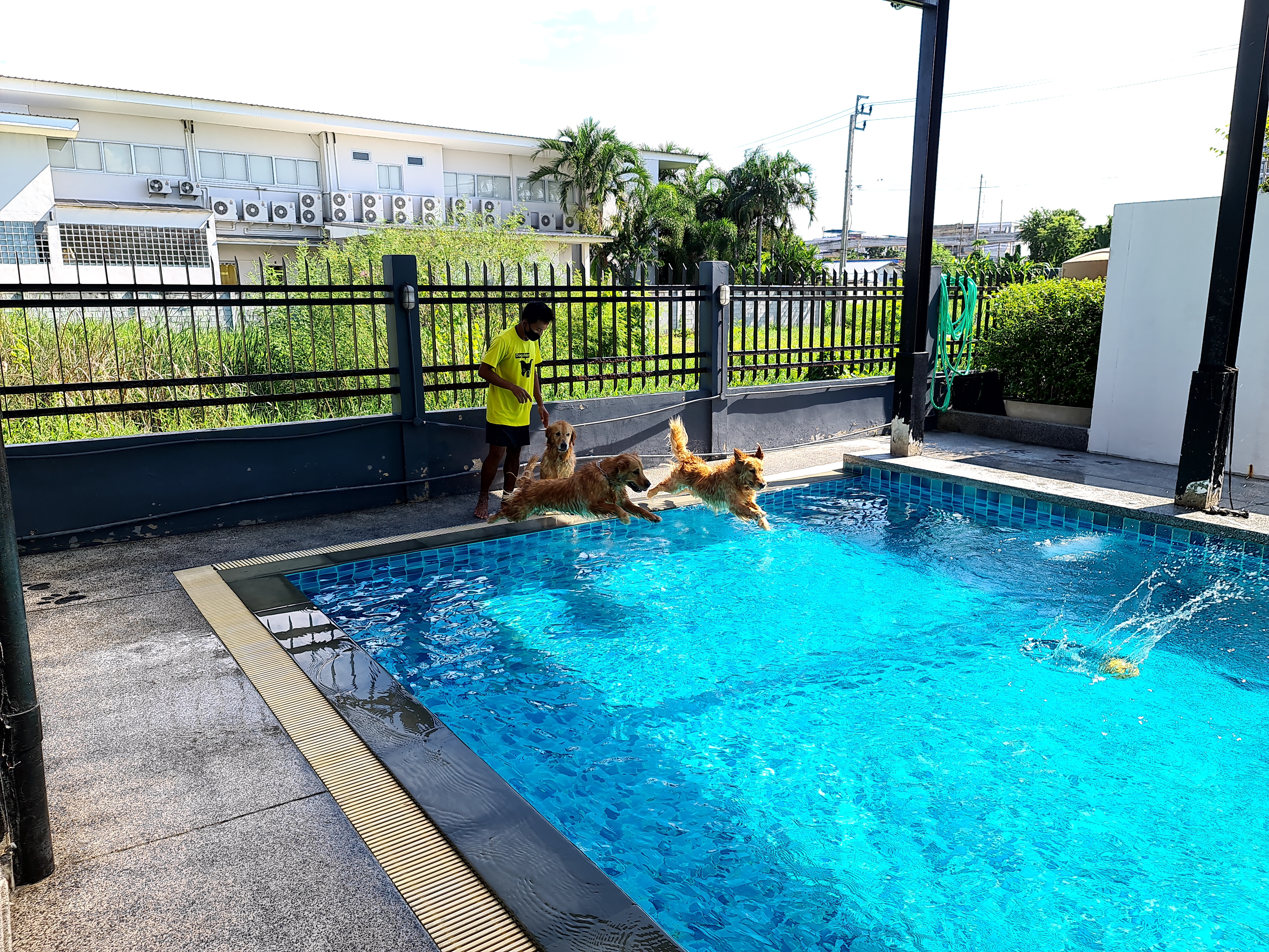 dogdaysbkk