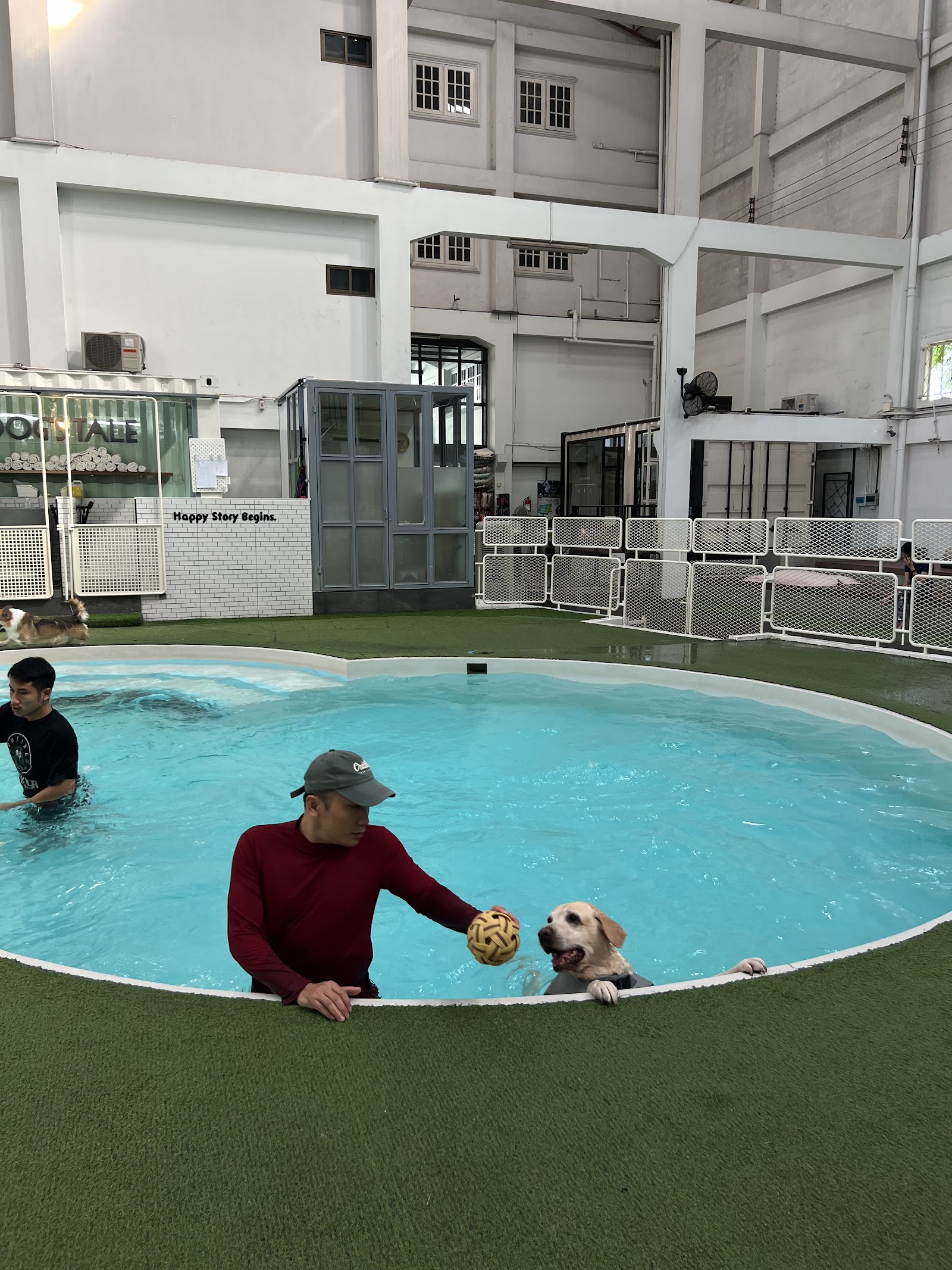DOGS TALE Bangkok