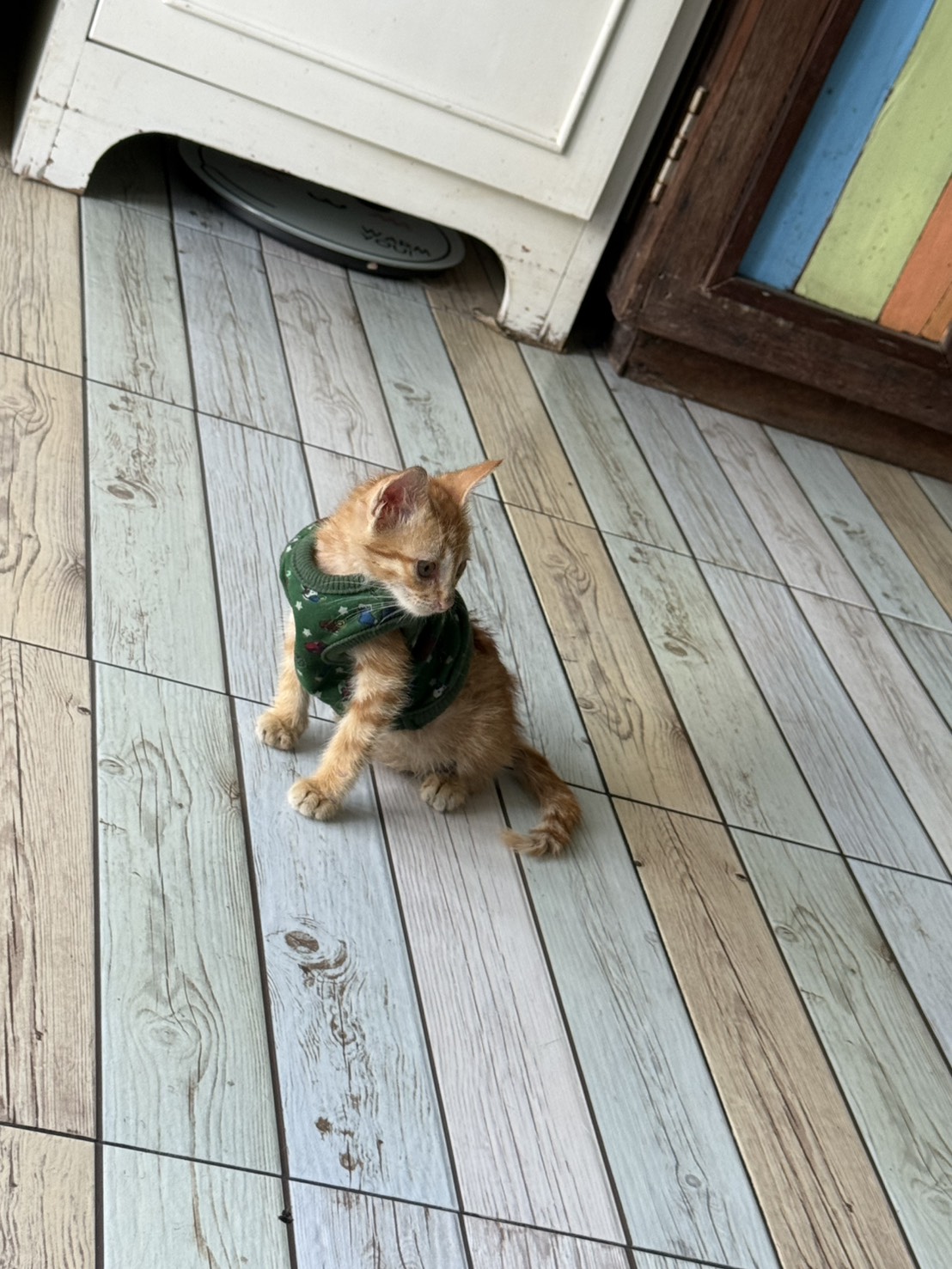 Dr.Pet Home