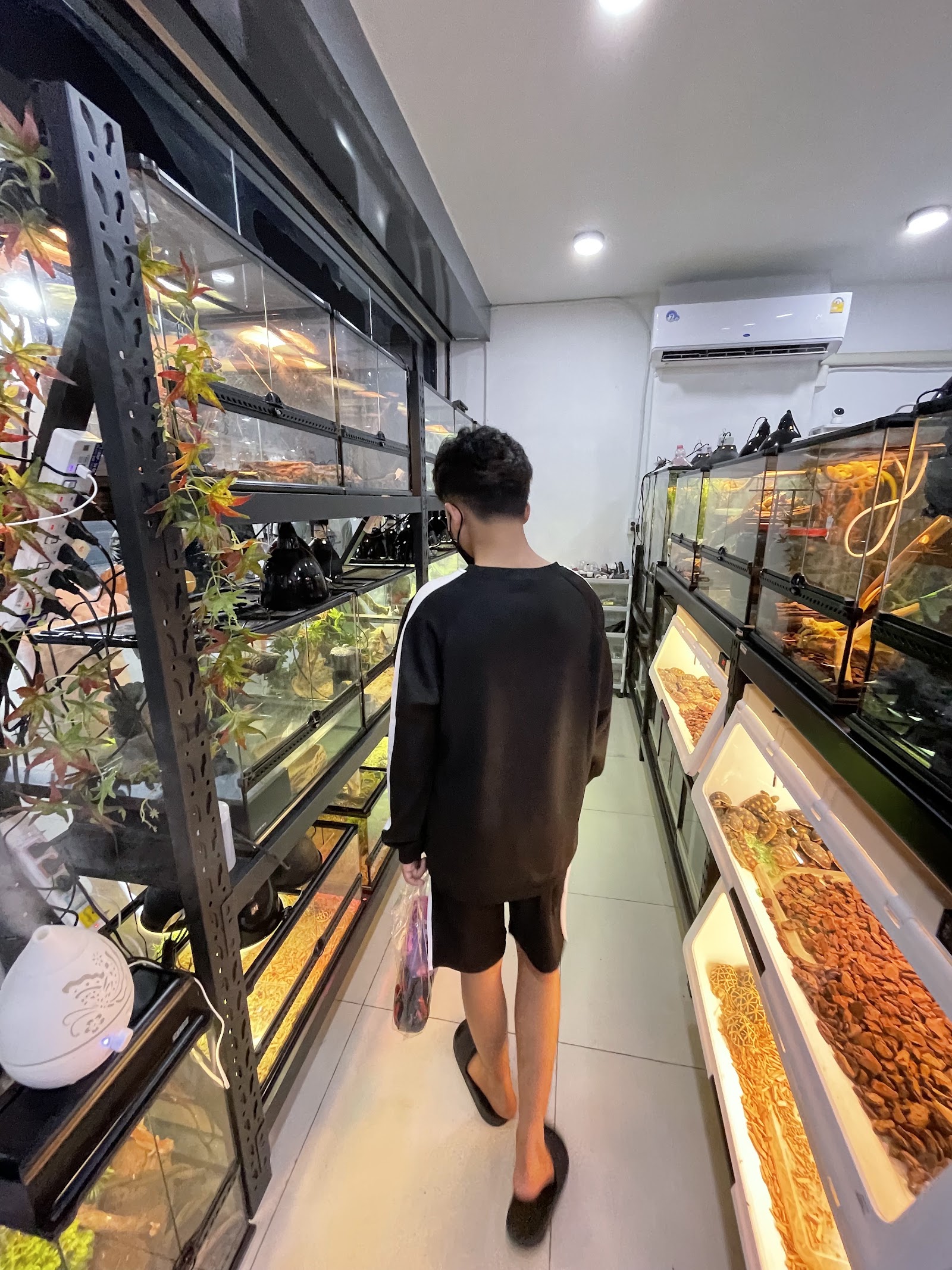 Exotic Pets Studio Jatujak