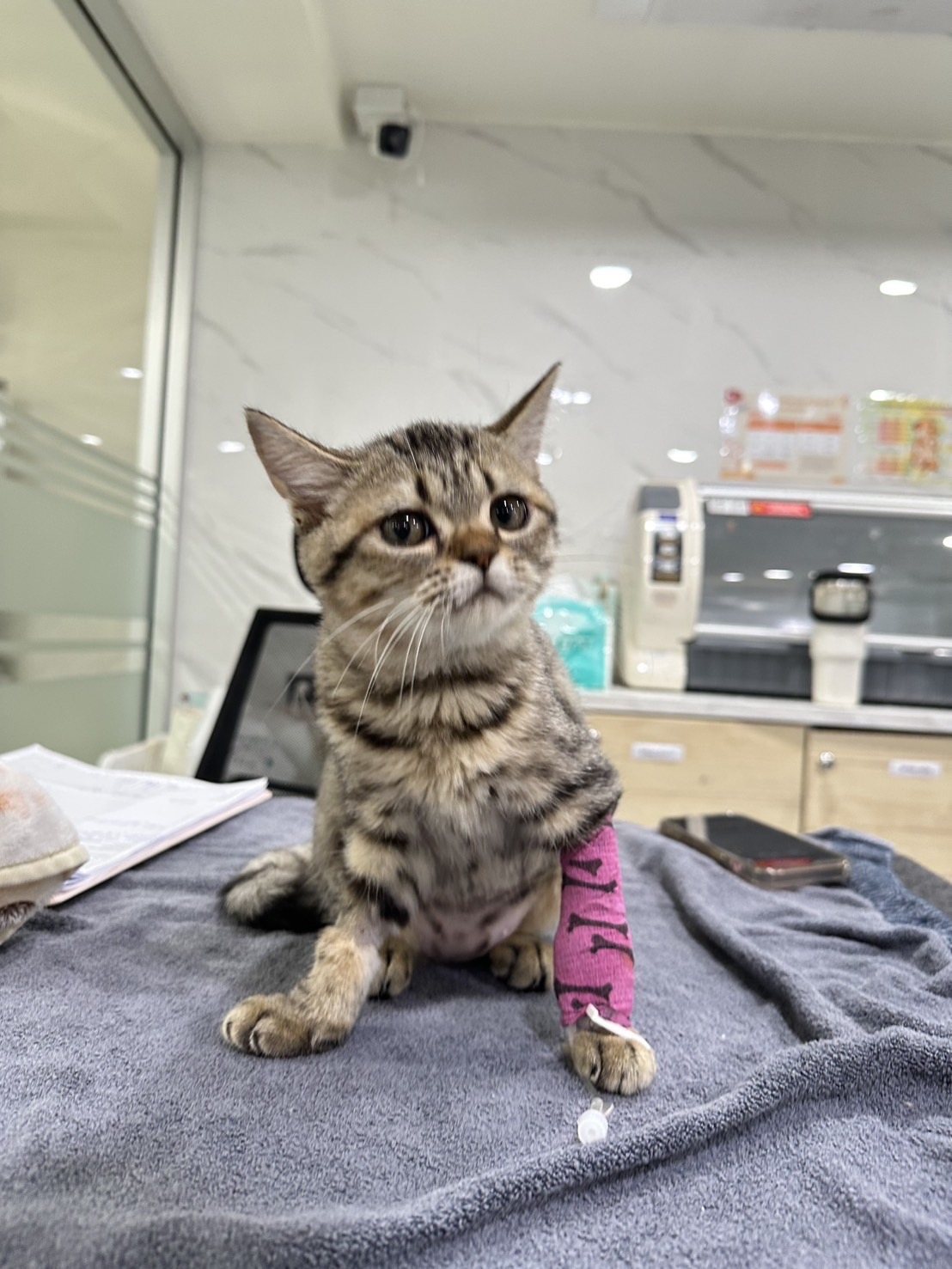 Happy Pet Care