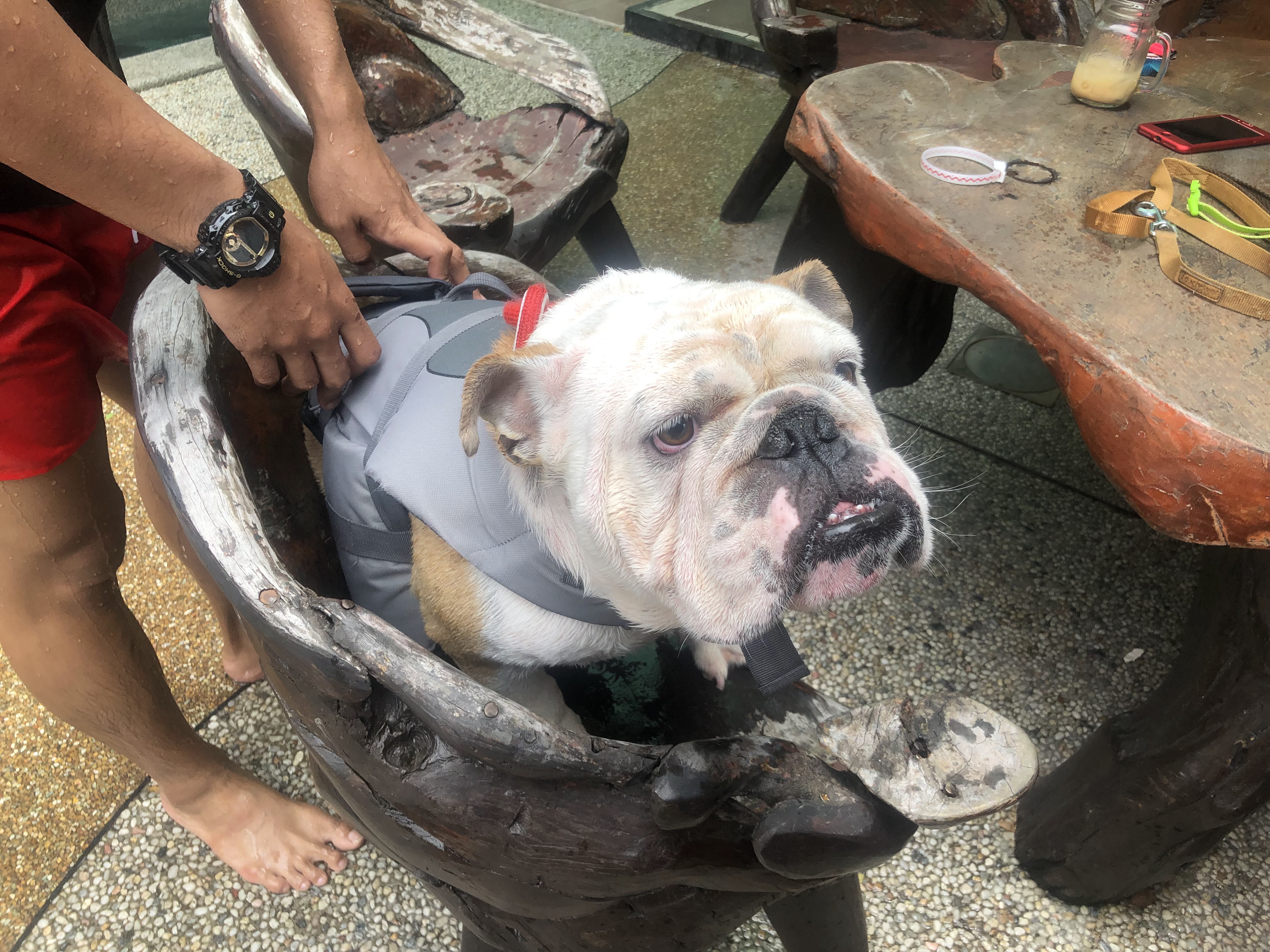 Heart Dog Cafe