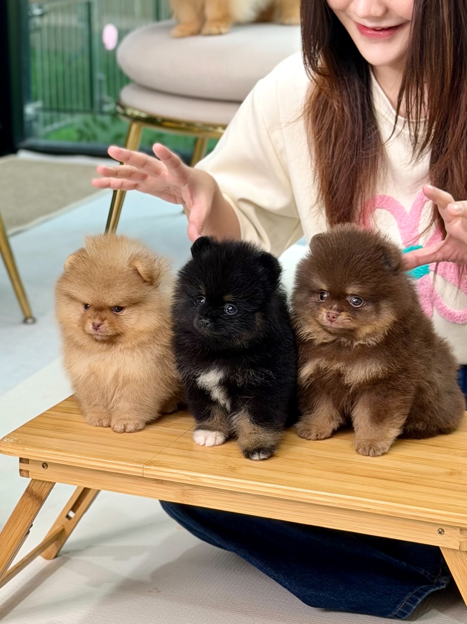 Hero's Pom