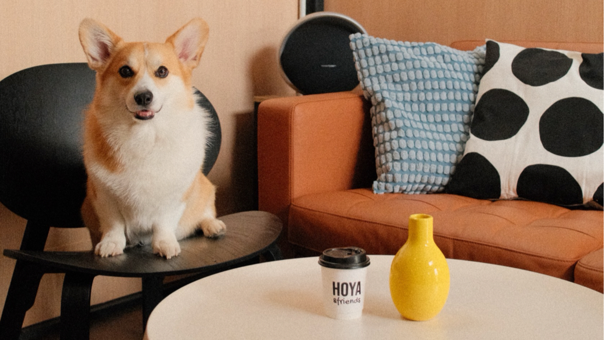 Hoya & friends Café