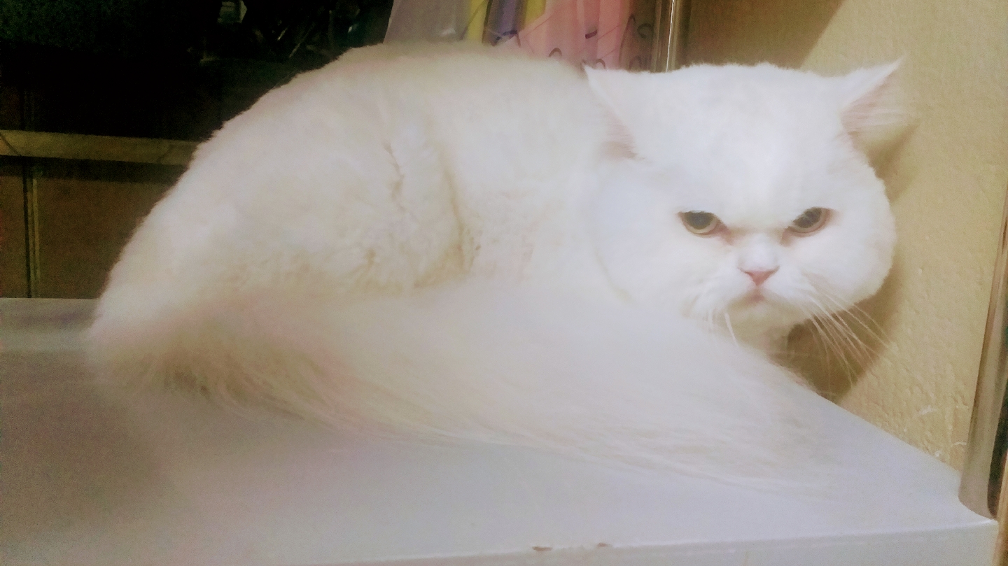 K&M Grooming