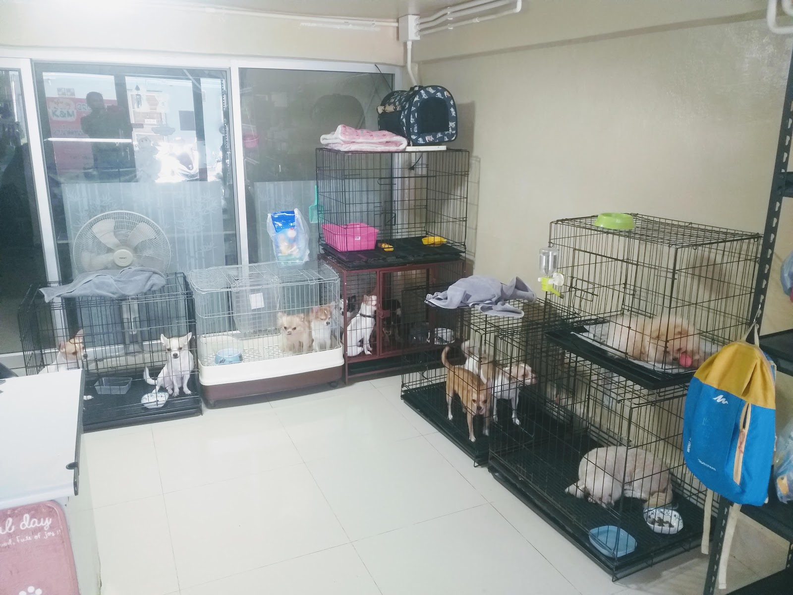 K&M Grooming