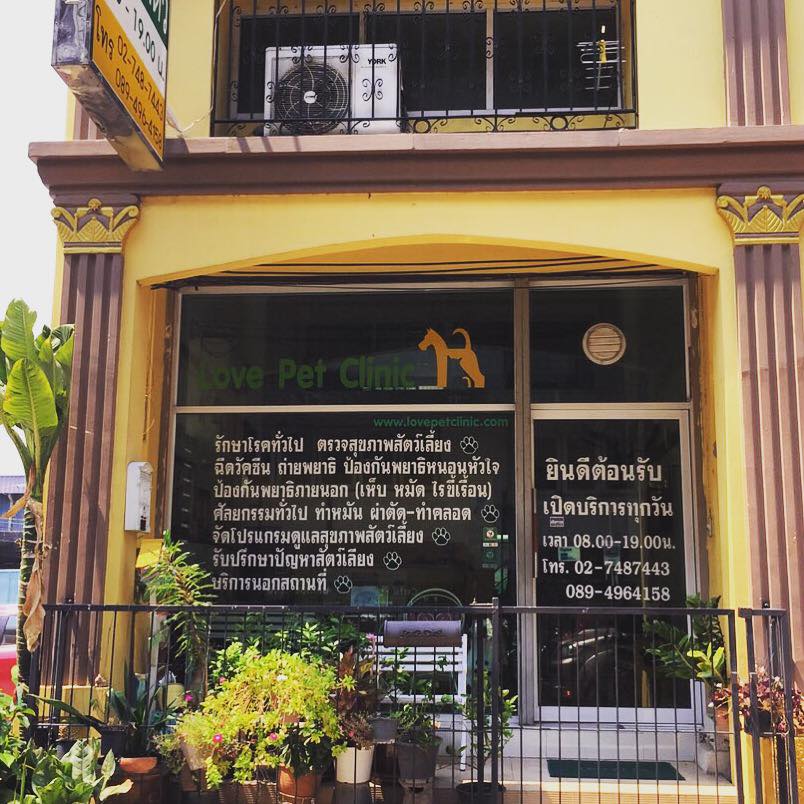 Love Pet Clinic