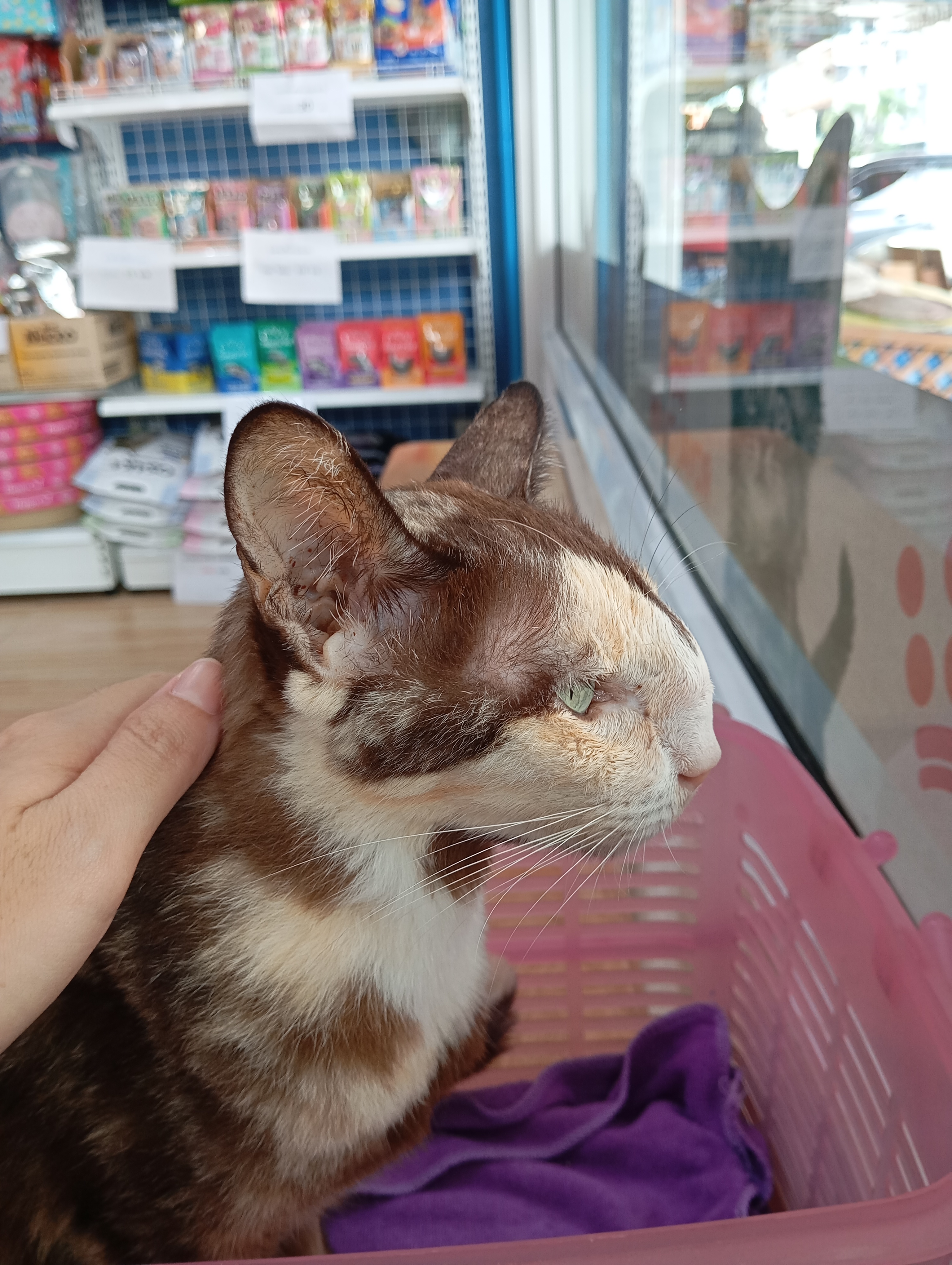 Meesuk Vet Clinic